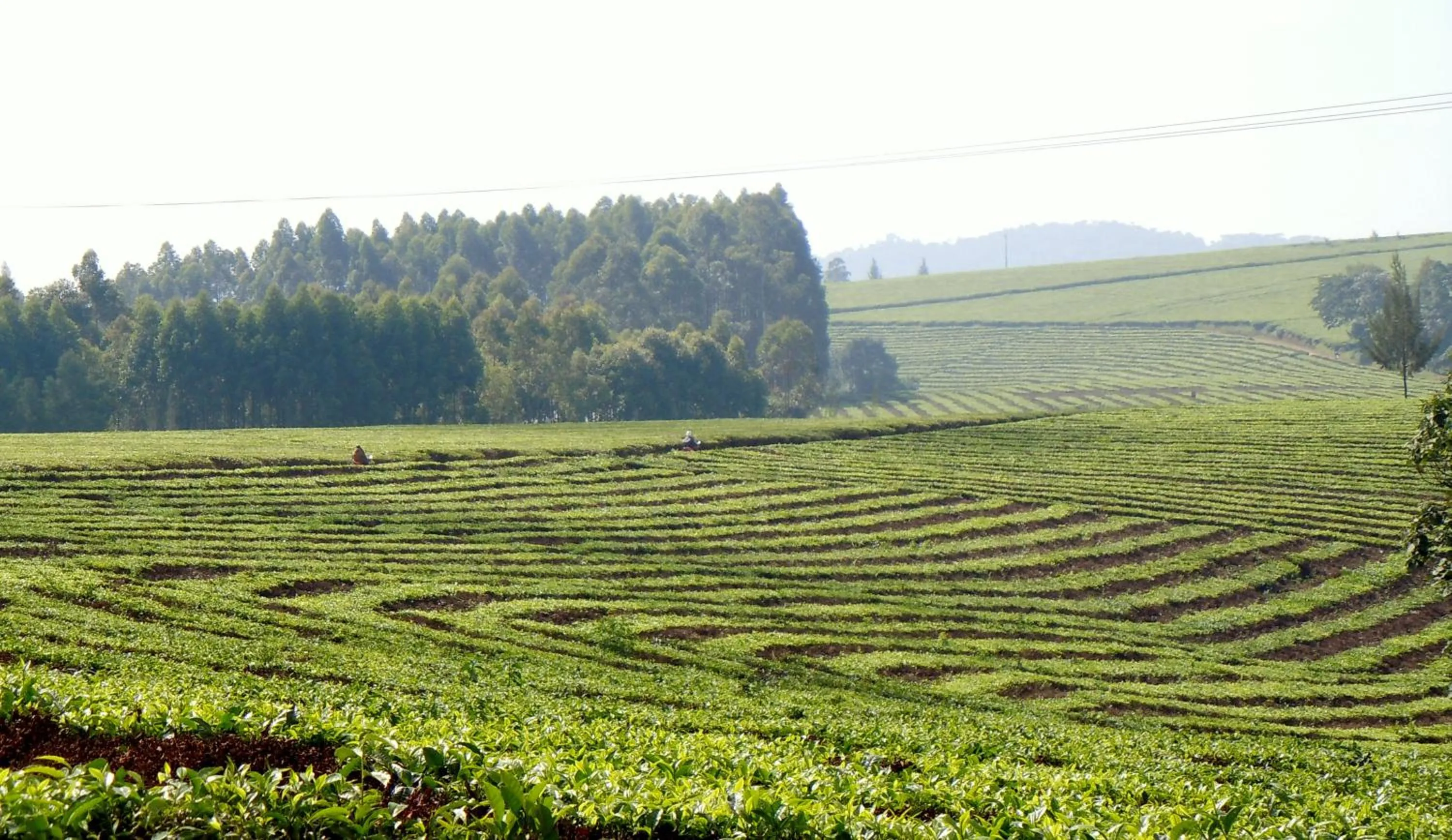 Hiking in Dutchess Hotel and Restaurant