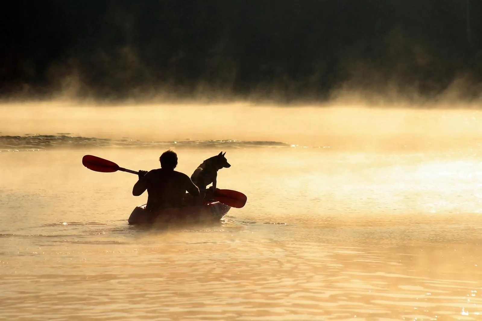 Saltwater Apartments