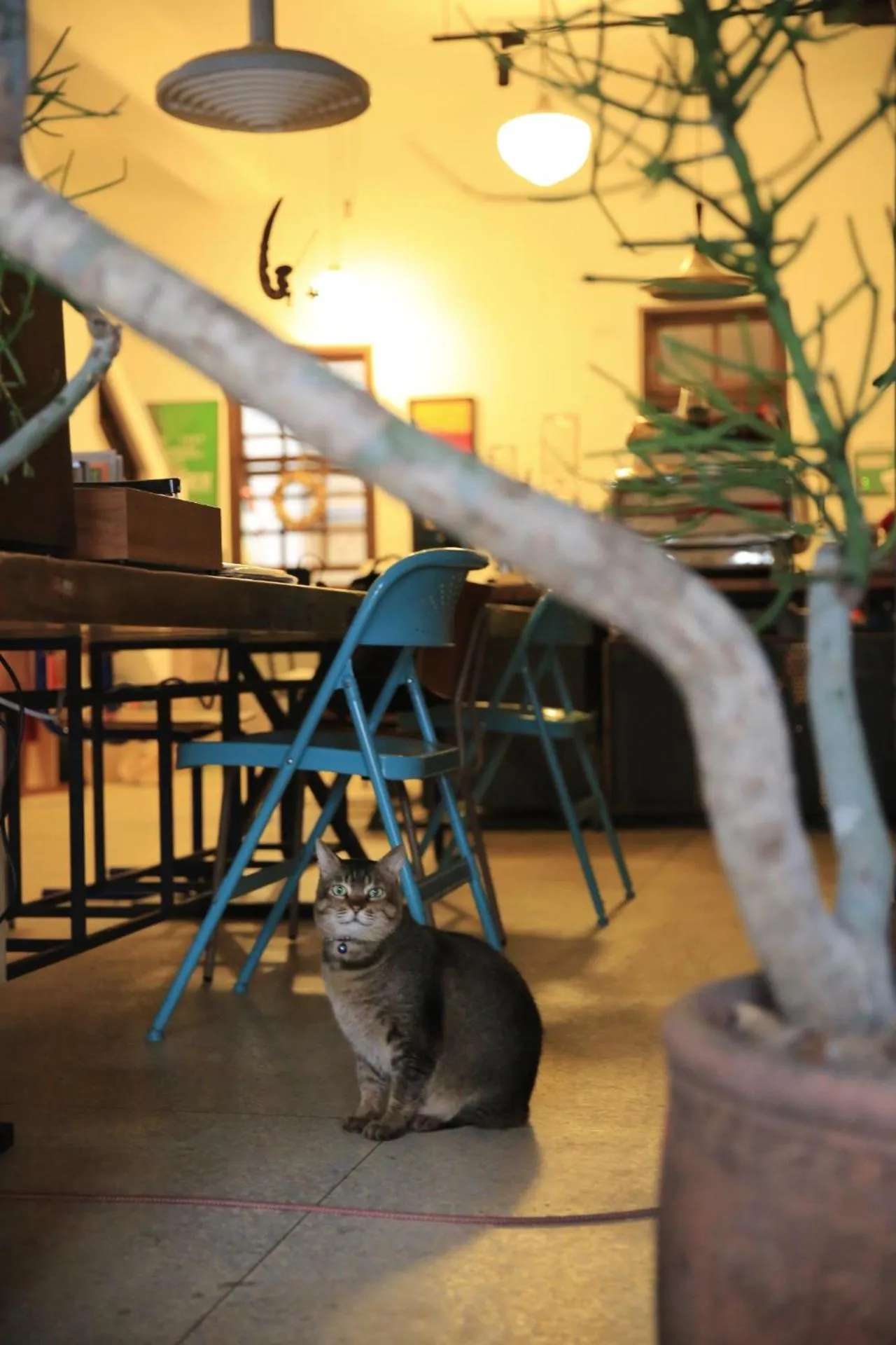 Library in OrigInn Space