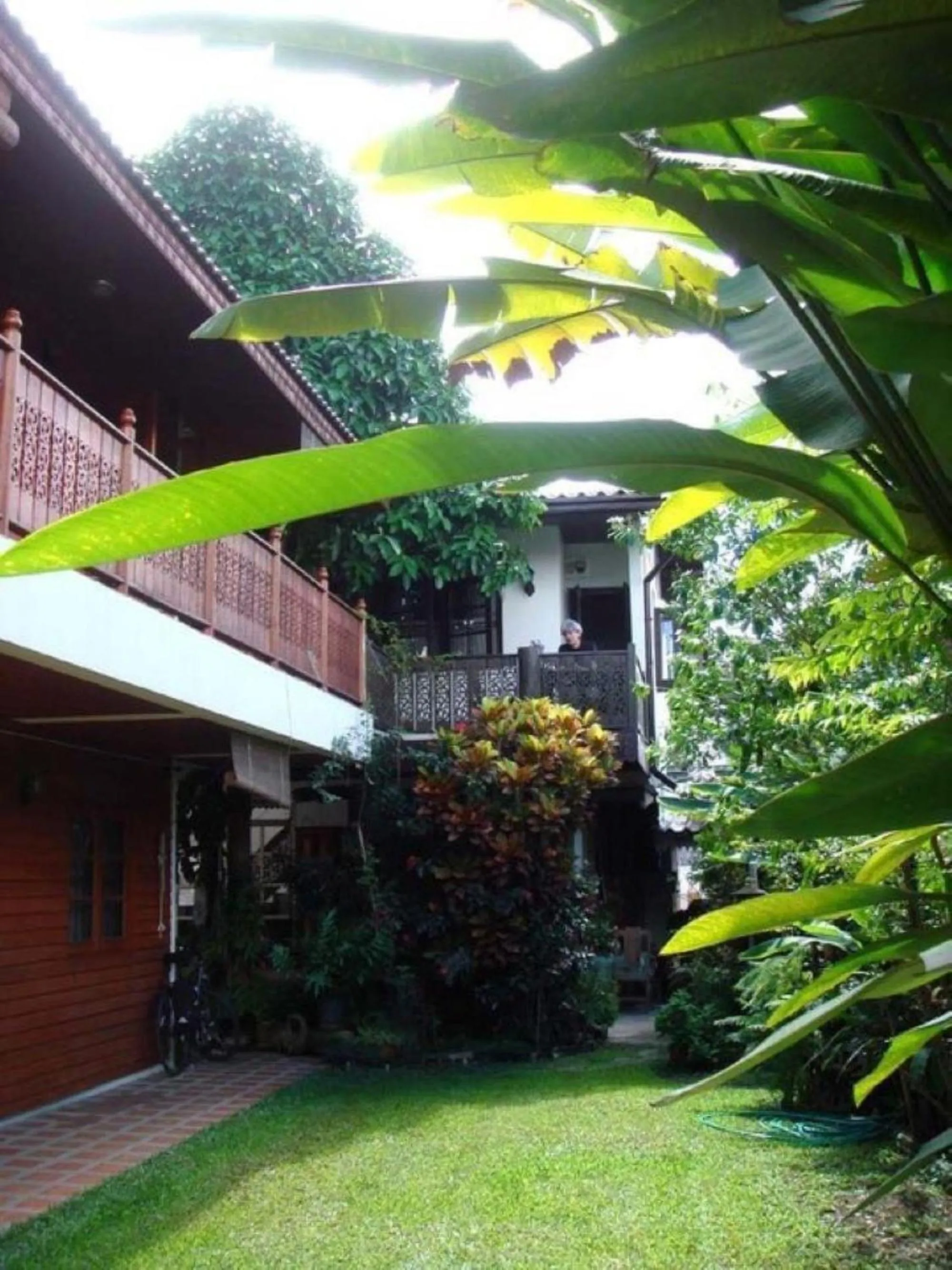 Garden in Tiptopthai House