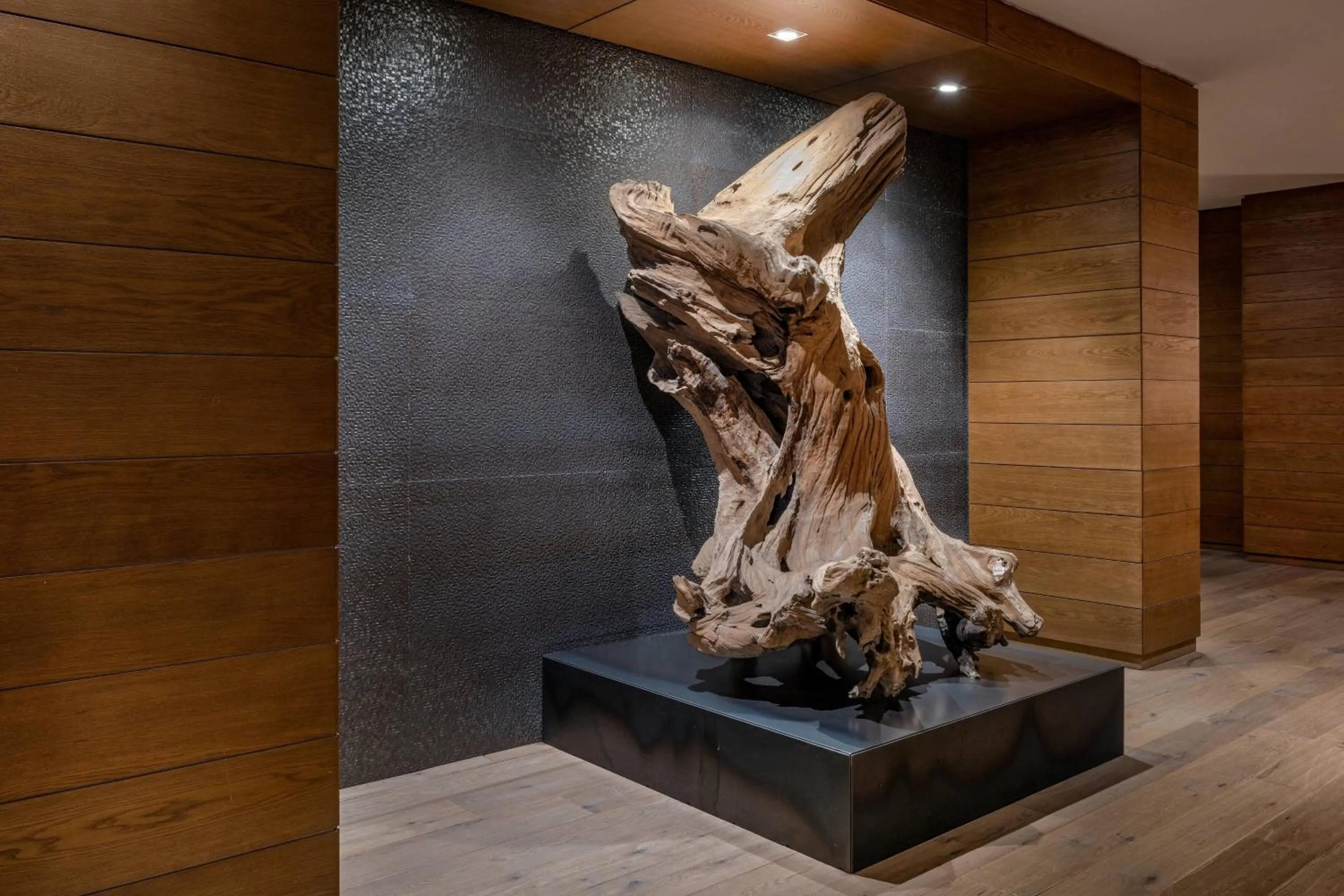 Other in Hotel AC Baqueira Ski Resort, Autograph Collection