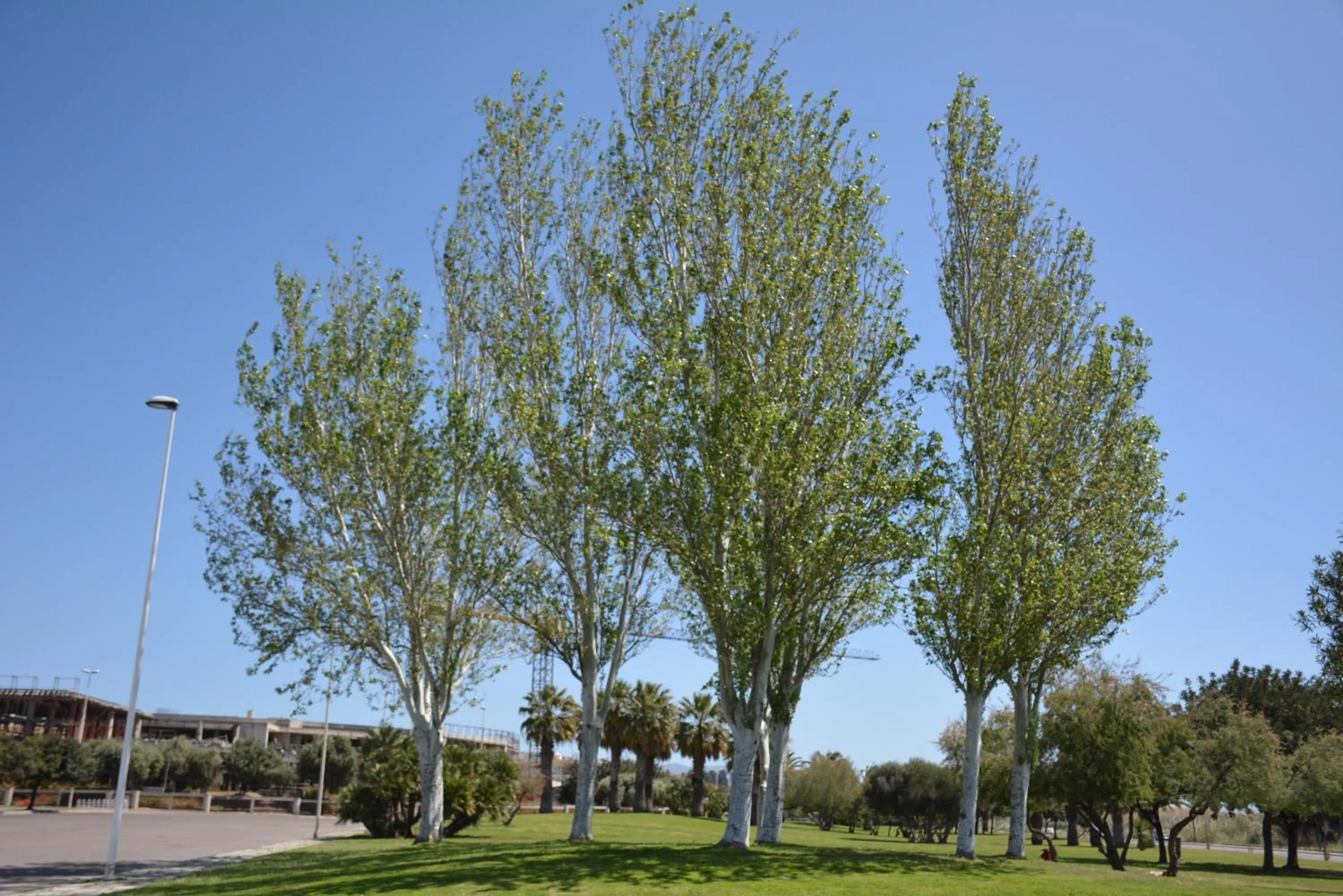 Neighbourhood in Giardini e Mare