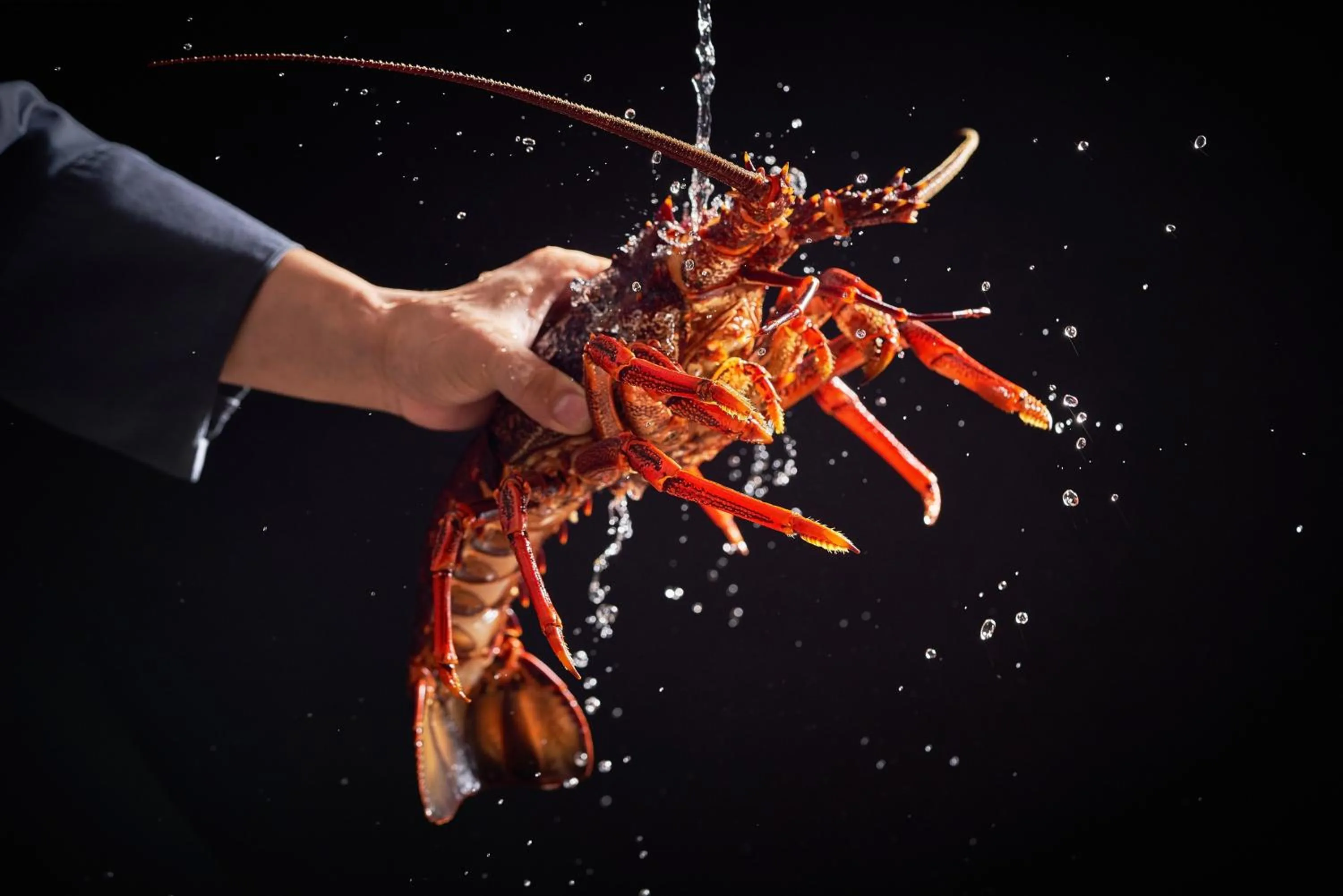 Restaurant/places to eat in Regent Chongqing