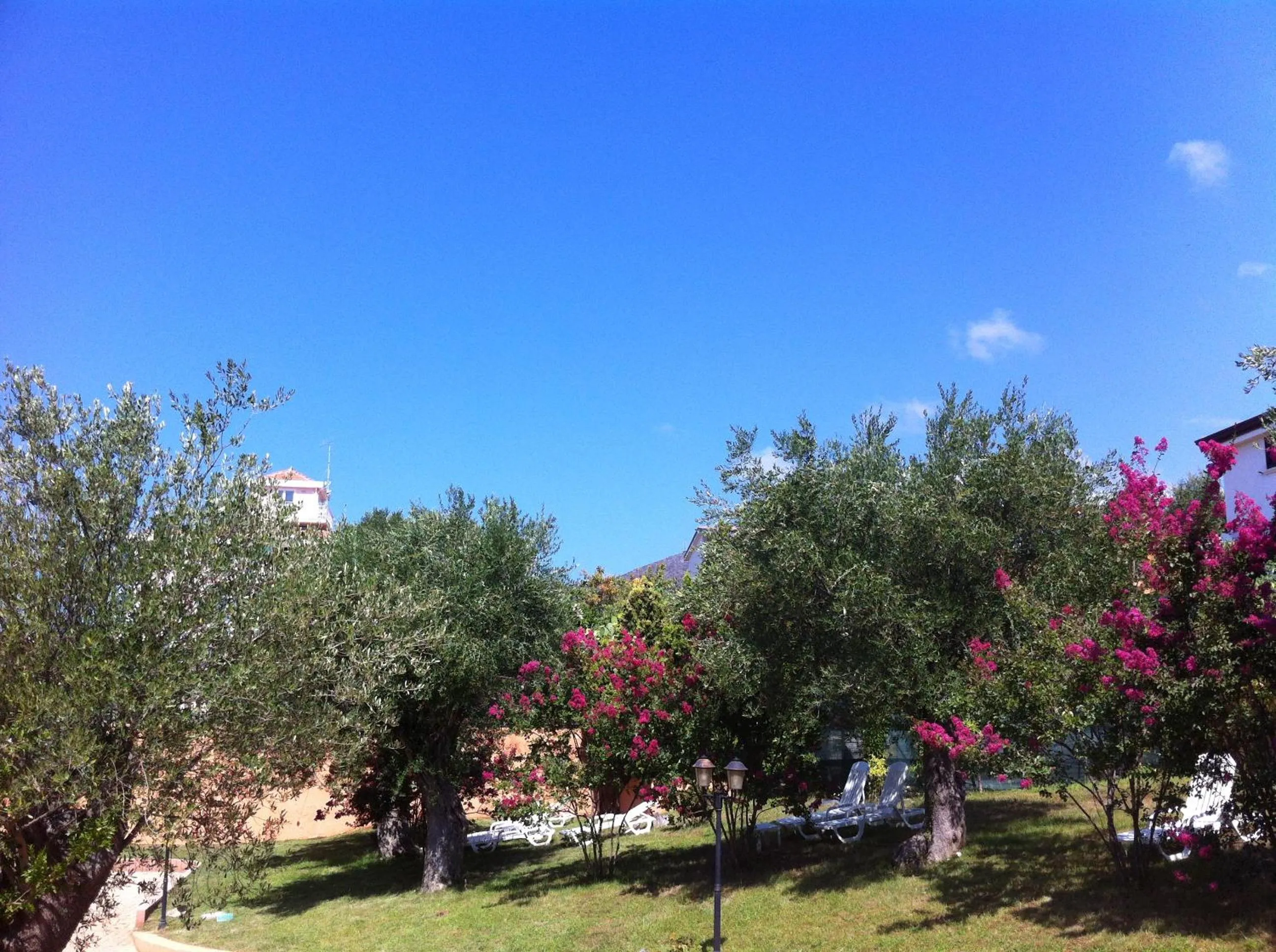 Garden view in Residence Baia Infreschi