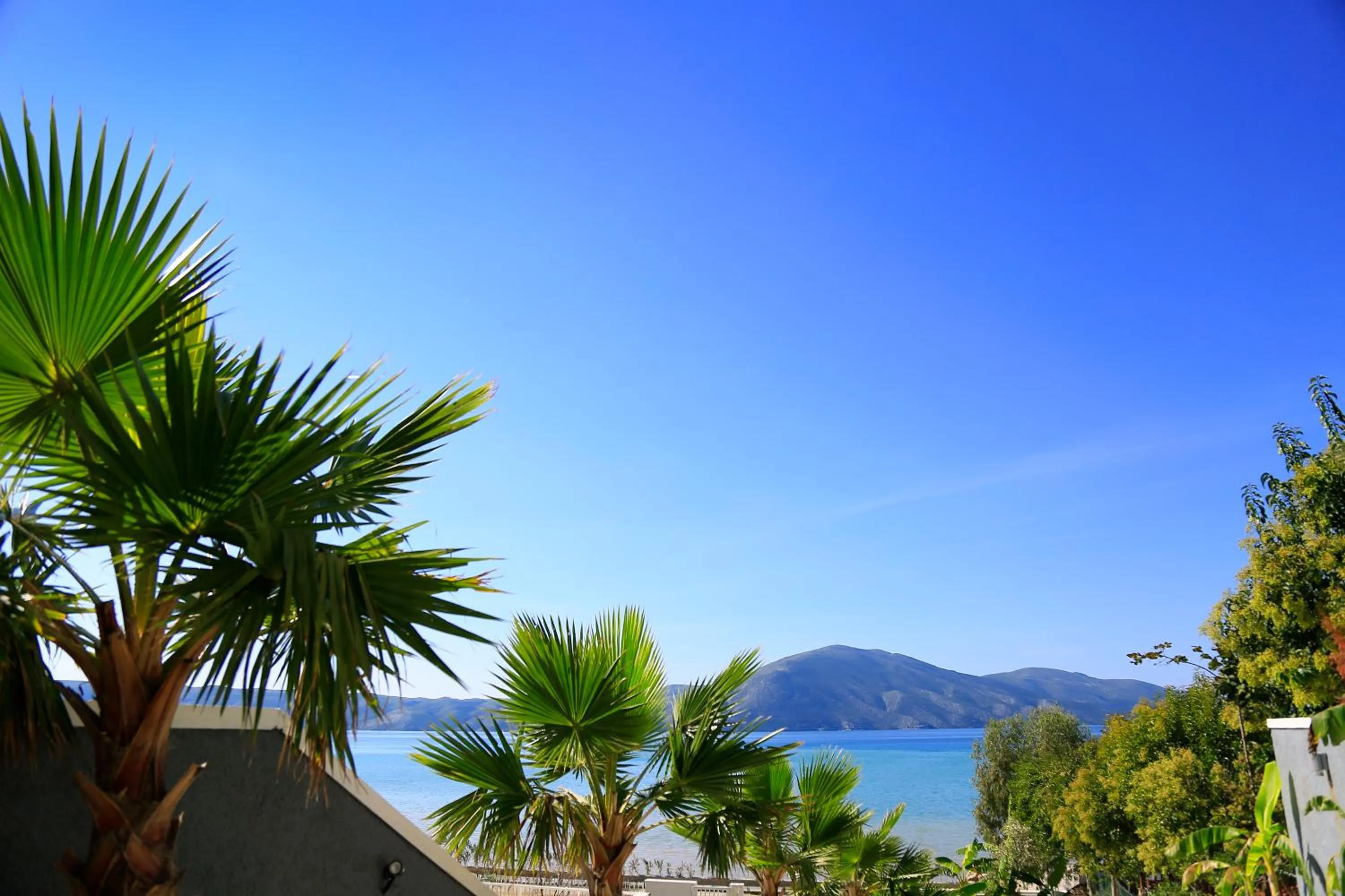 Lobby or reception in Hotel Picasso