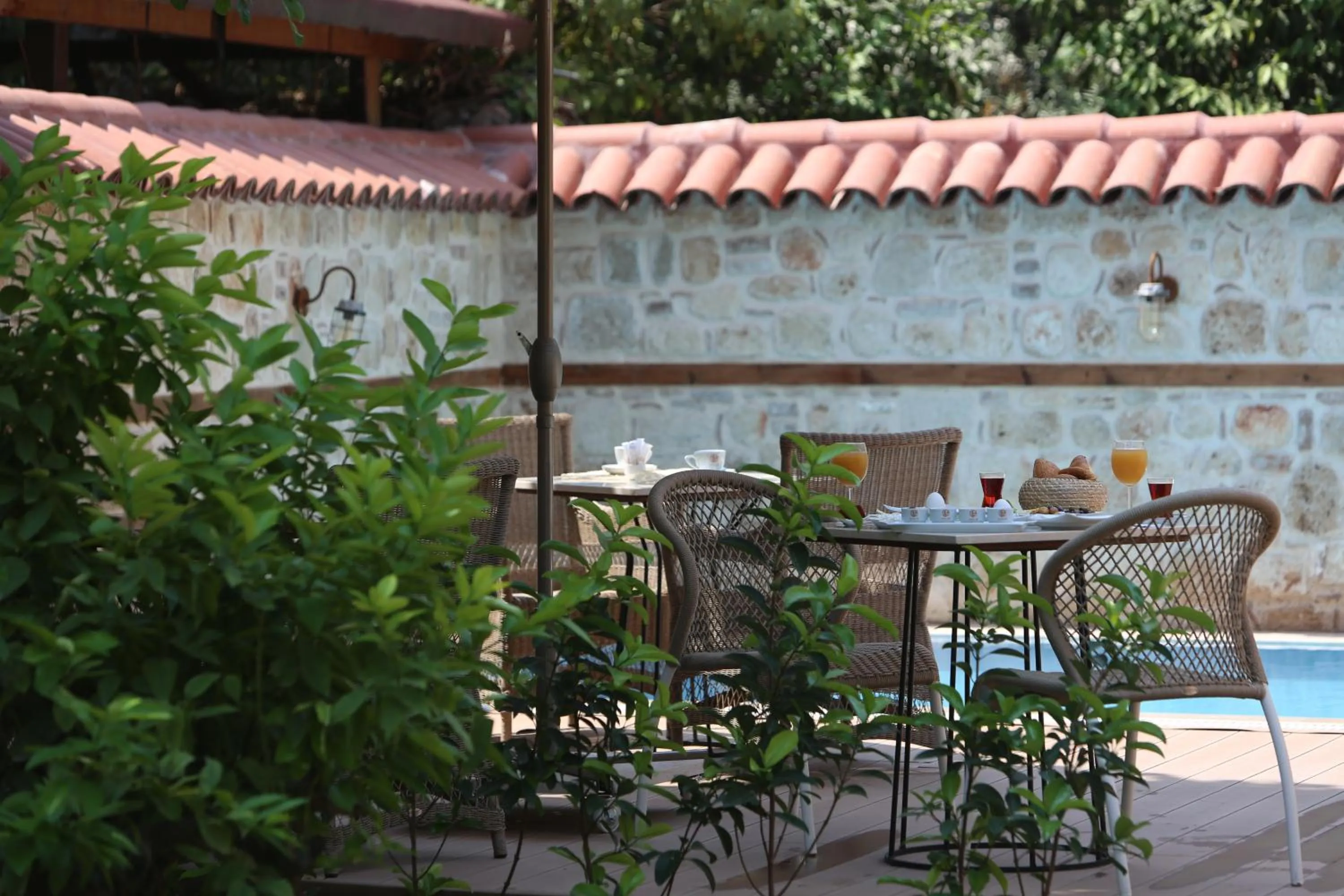 Garden in Char Me Hotel