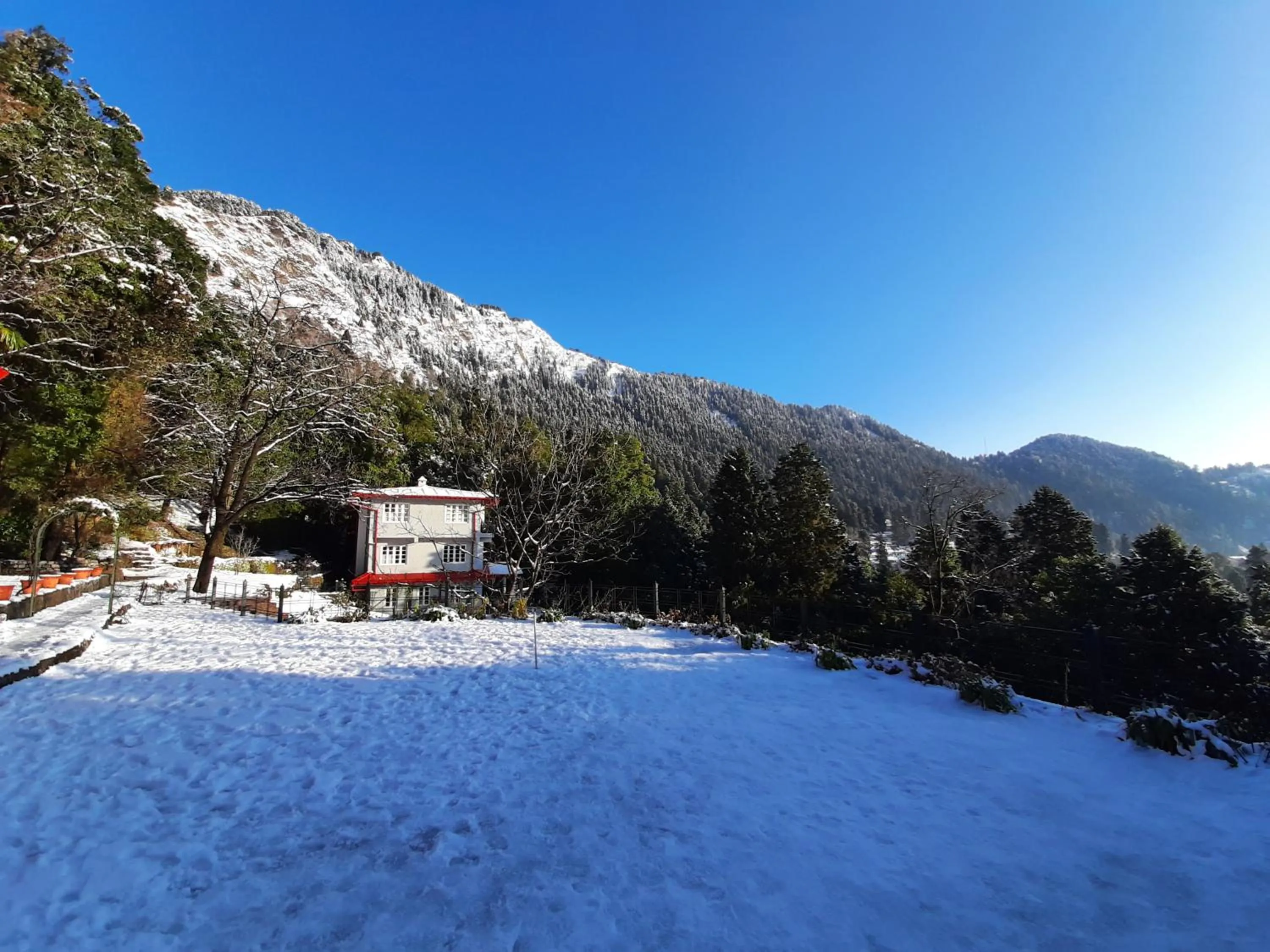 Property building in Abbotsford Prasada Bhawan