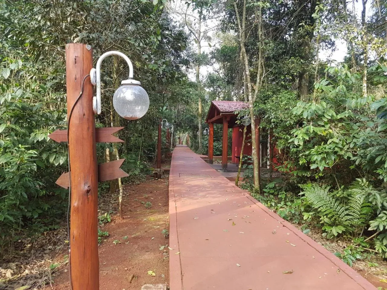 Garden in Hotel Don Horacio