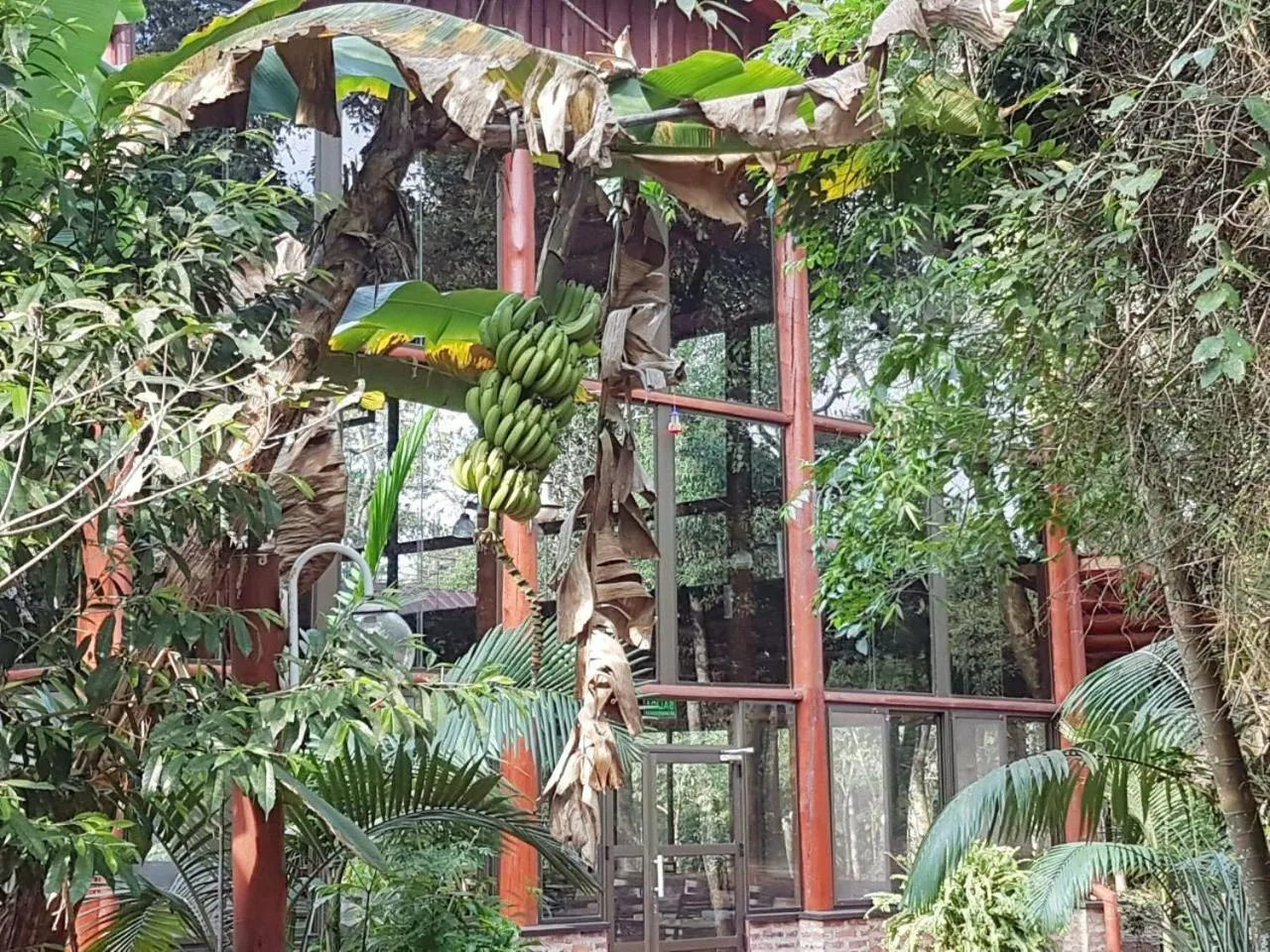 Animals in Hotel Don Horacio