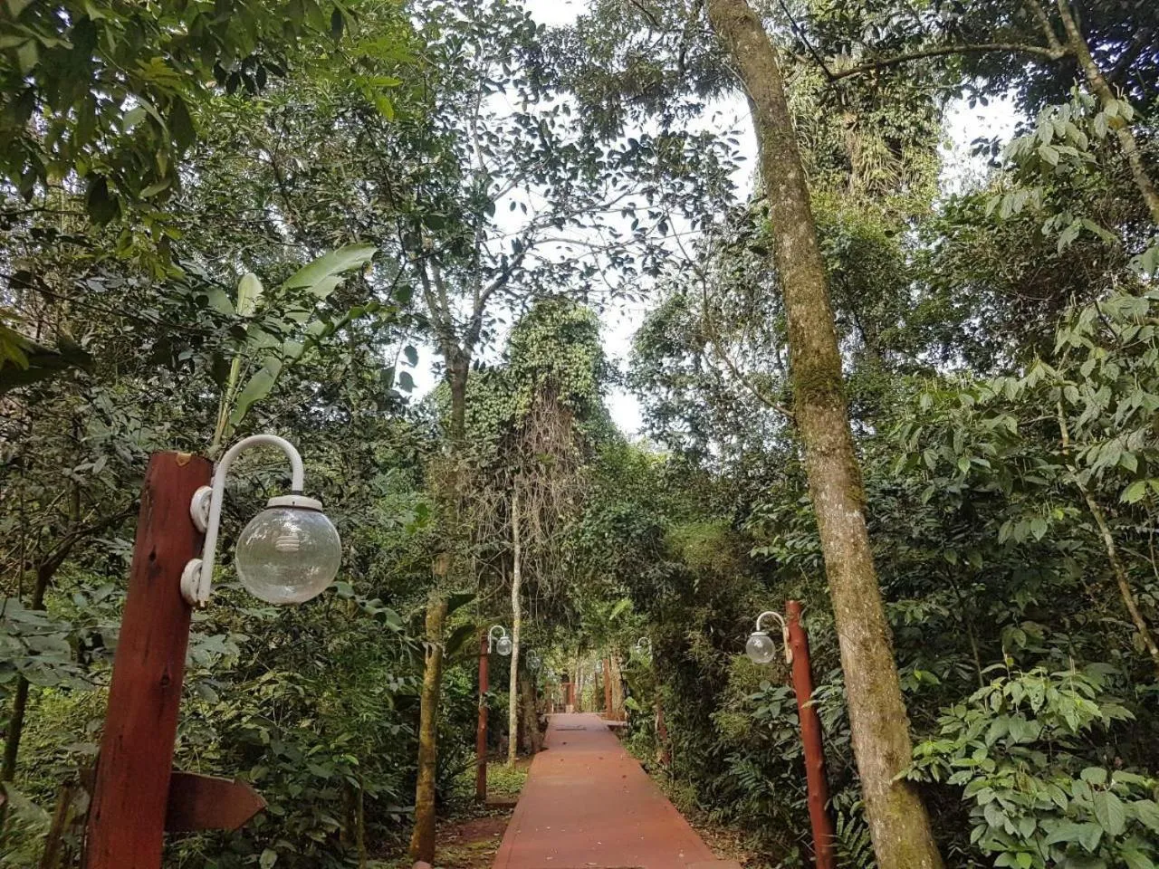 Garden in Hotel Don Horacio