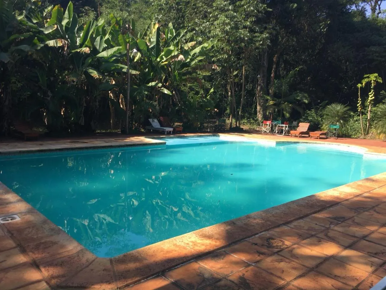 Property building in Hotel Don Horacio