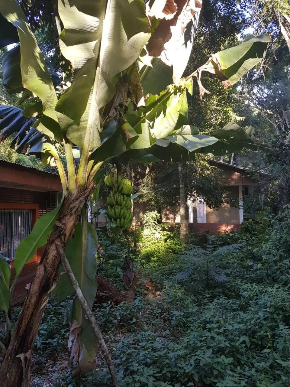 Garden in Hotel Don Horacio
