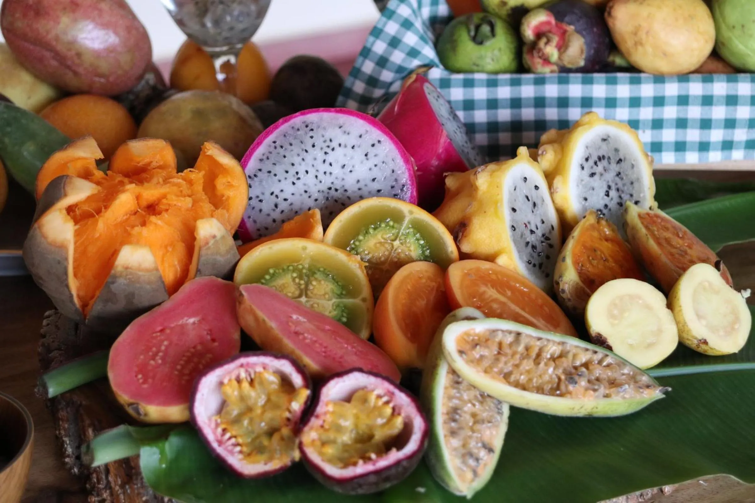 Activities in Ecoresort Gran Azul