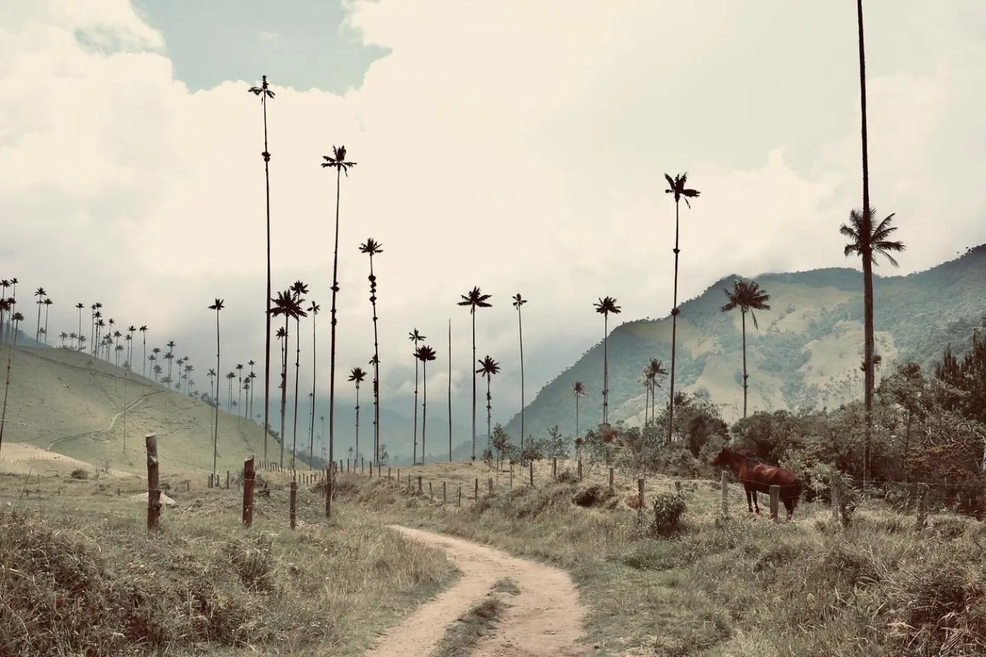 Natural landscape in Ecoresort Gran Azul