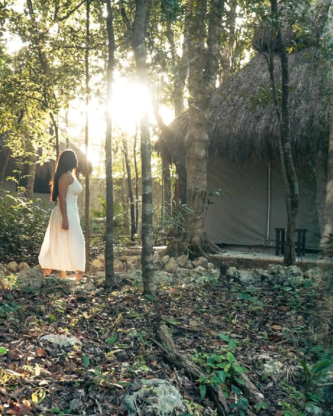 Natural landscape in Akumal Natura Glamping