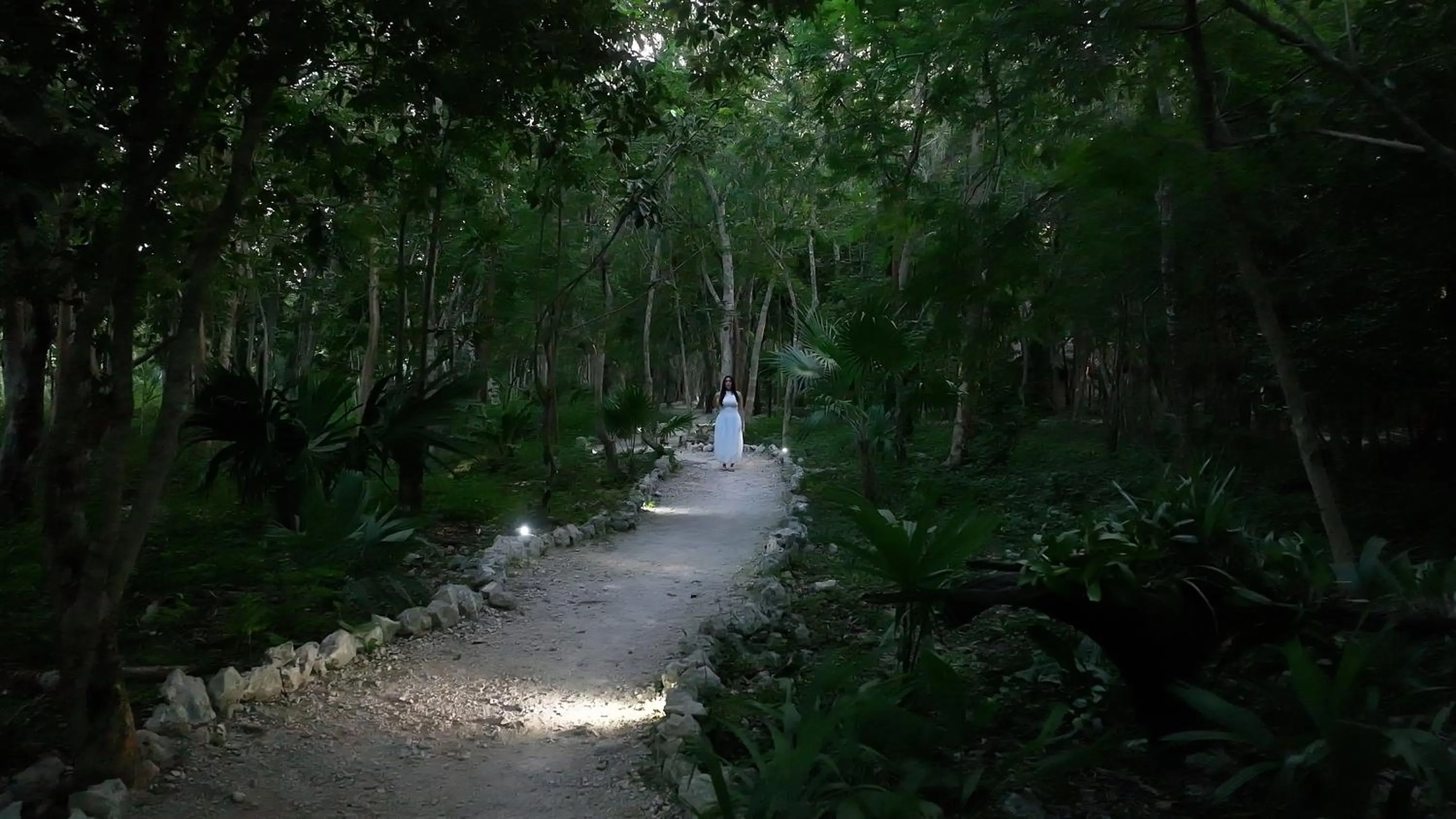 Natural landscape in Akumal Natura Glamping