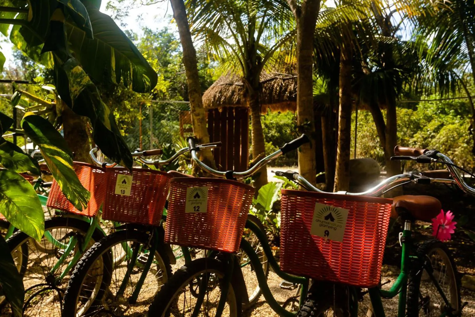 Cycling in Akumal Natura Glamping