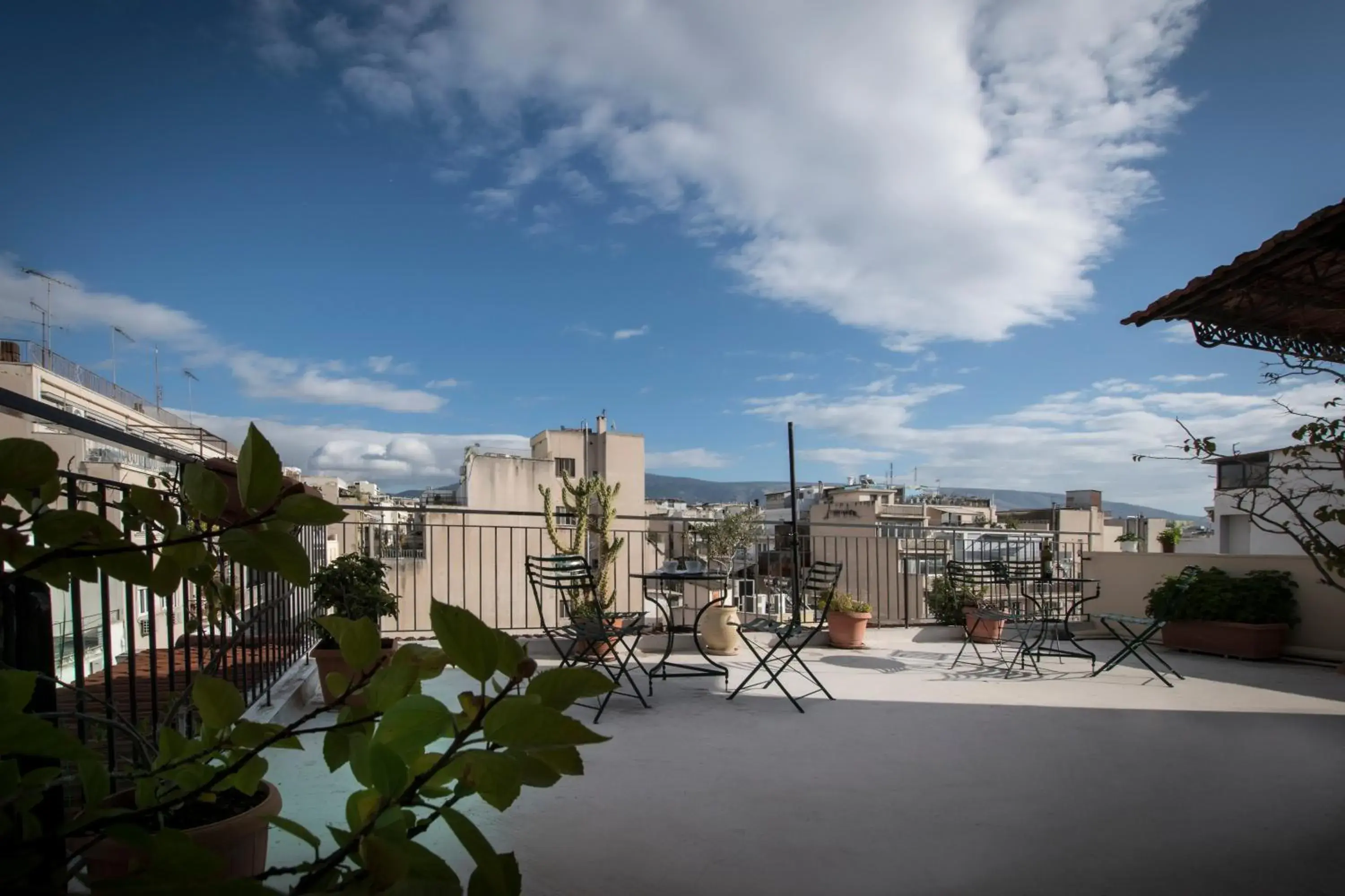 Roof garden - Single room in Carolina Hotel since 1934 Roof garden - Single room in Carolina Hotel since 1934