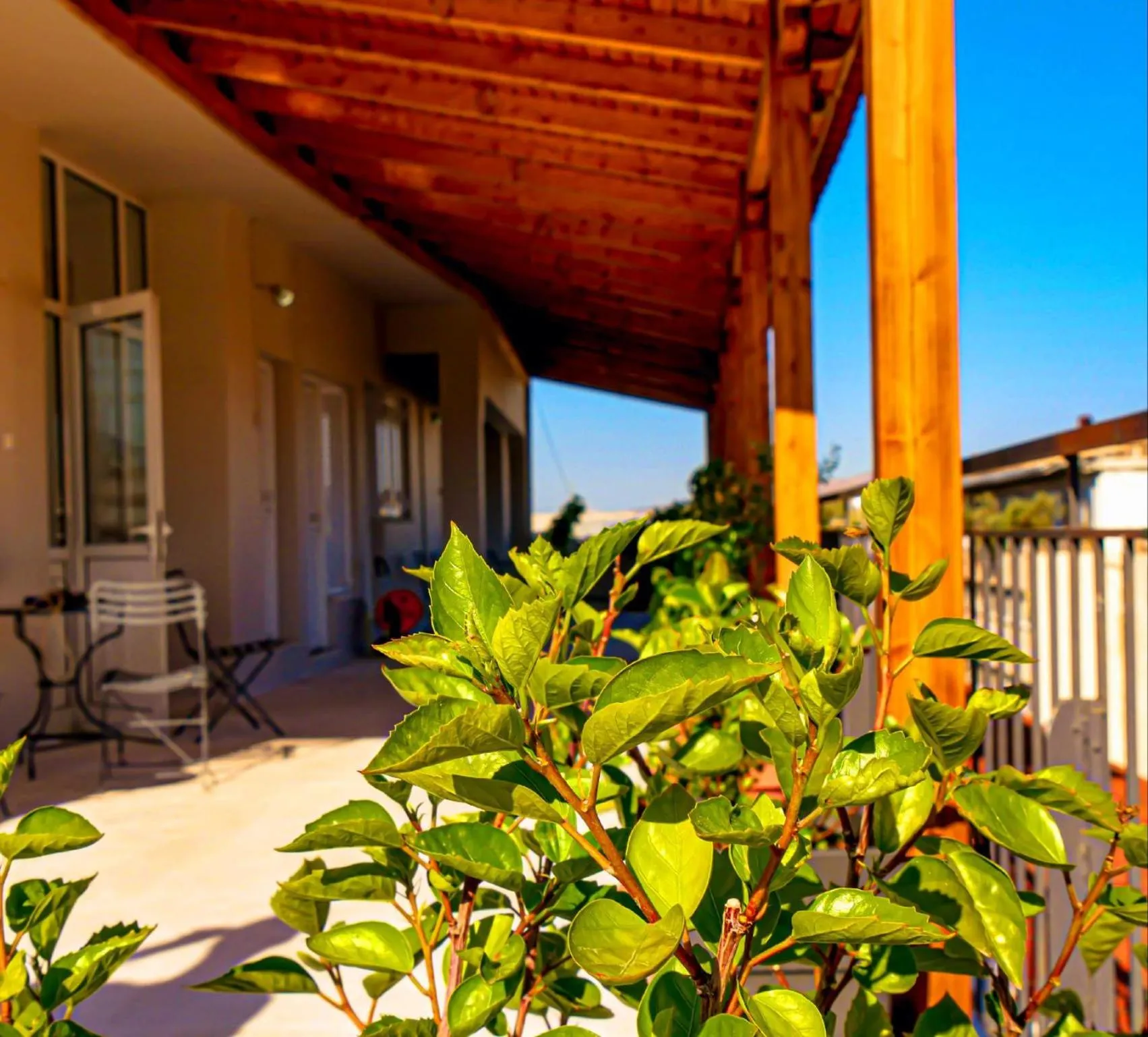 Balcony/Terrace in Carolina Hotel since 1934