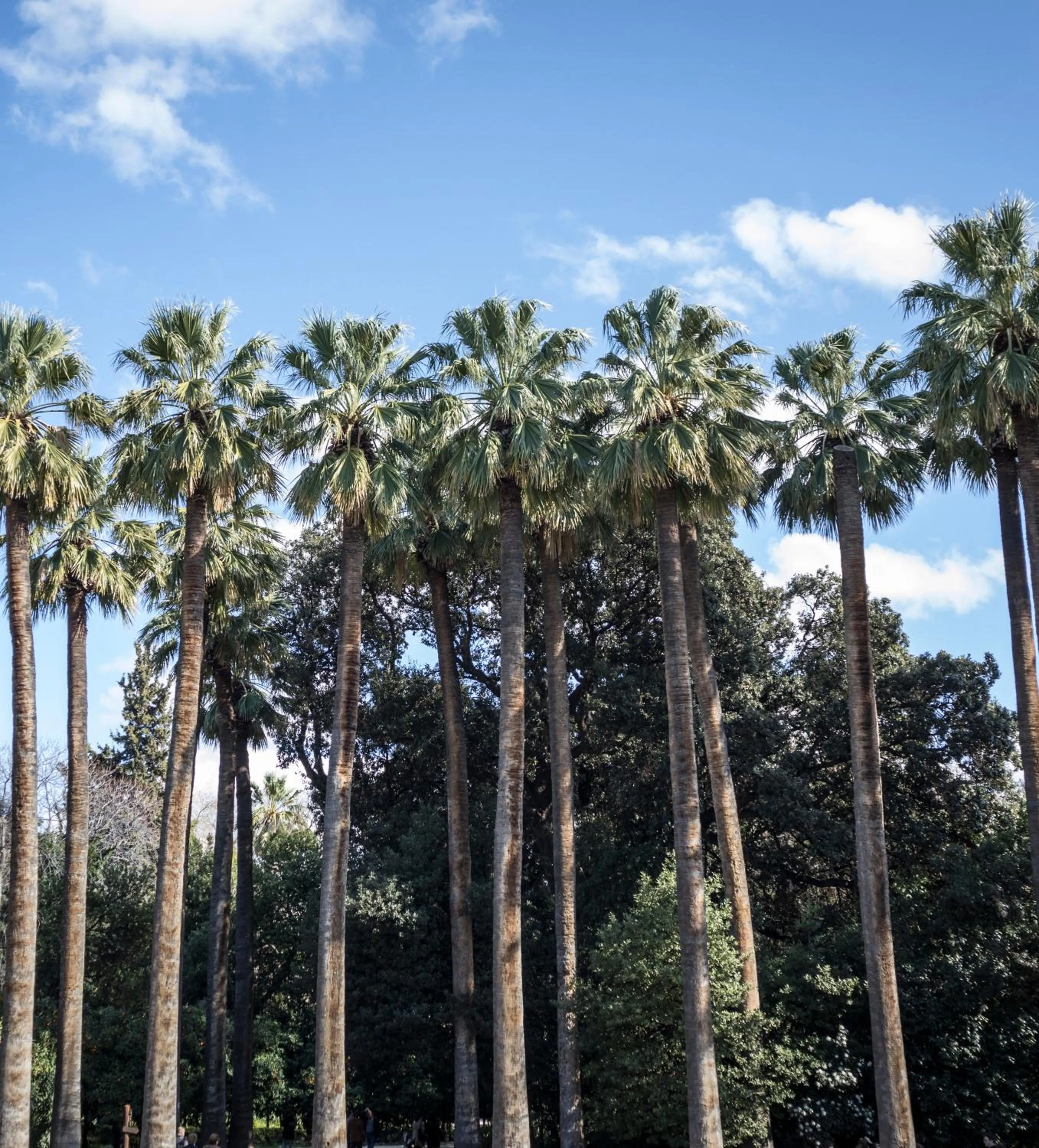 Nearby landmark in Carolina Hotel since 1934