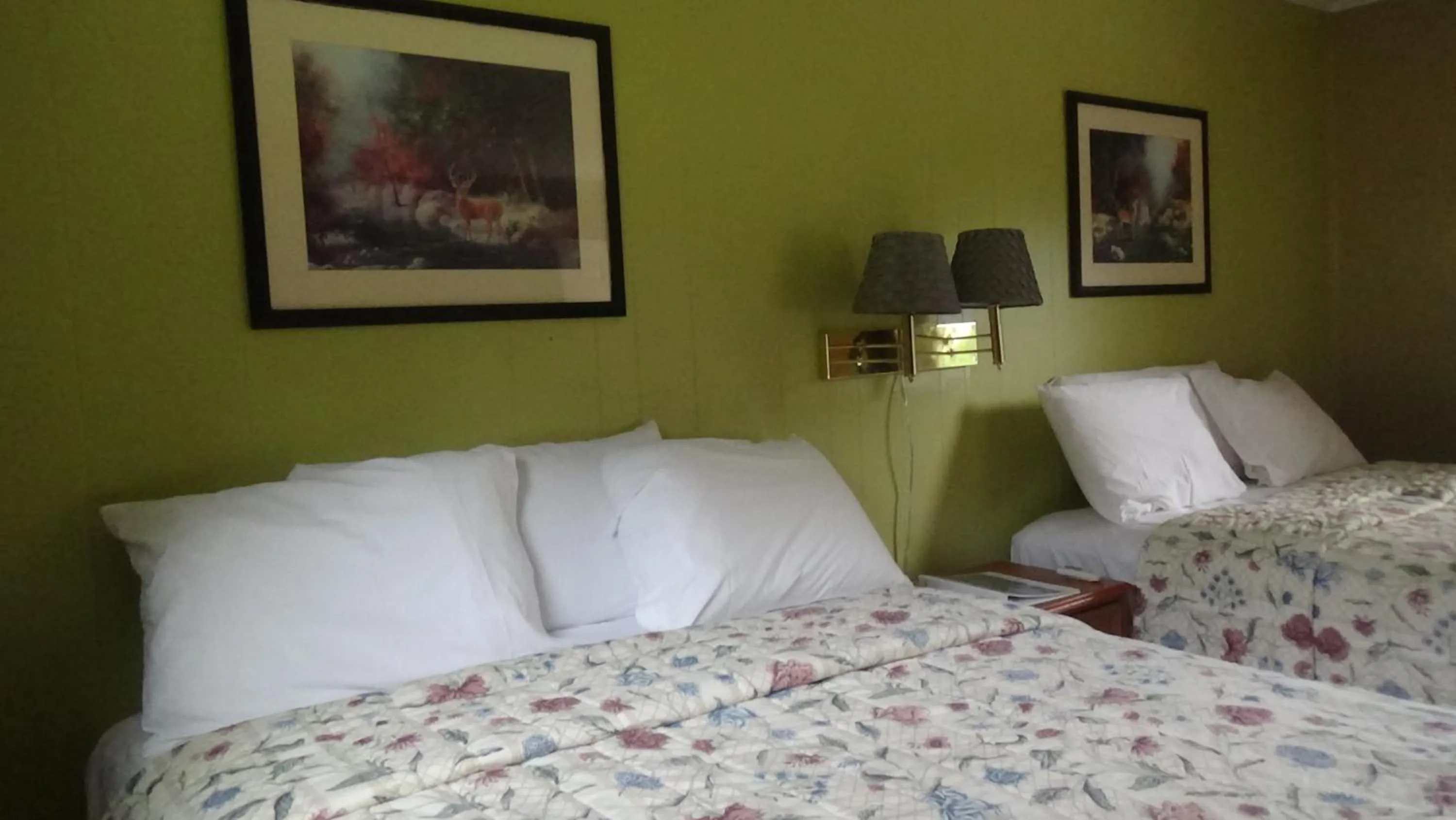 Bed in Roseloe Motel