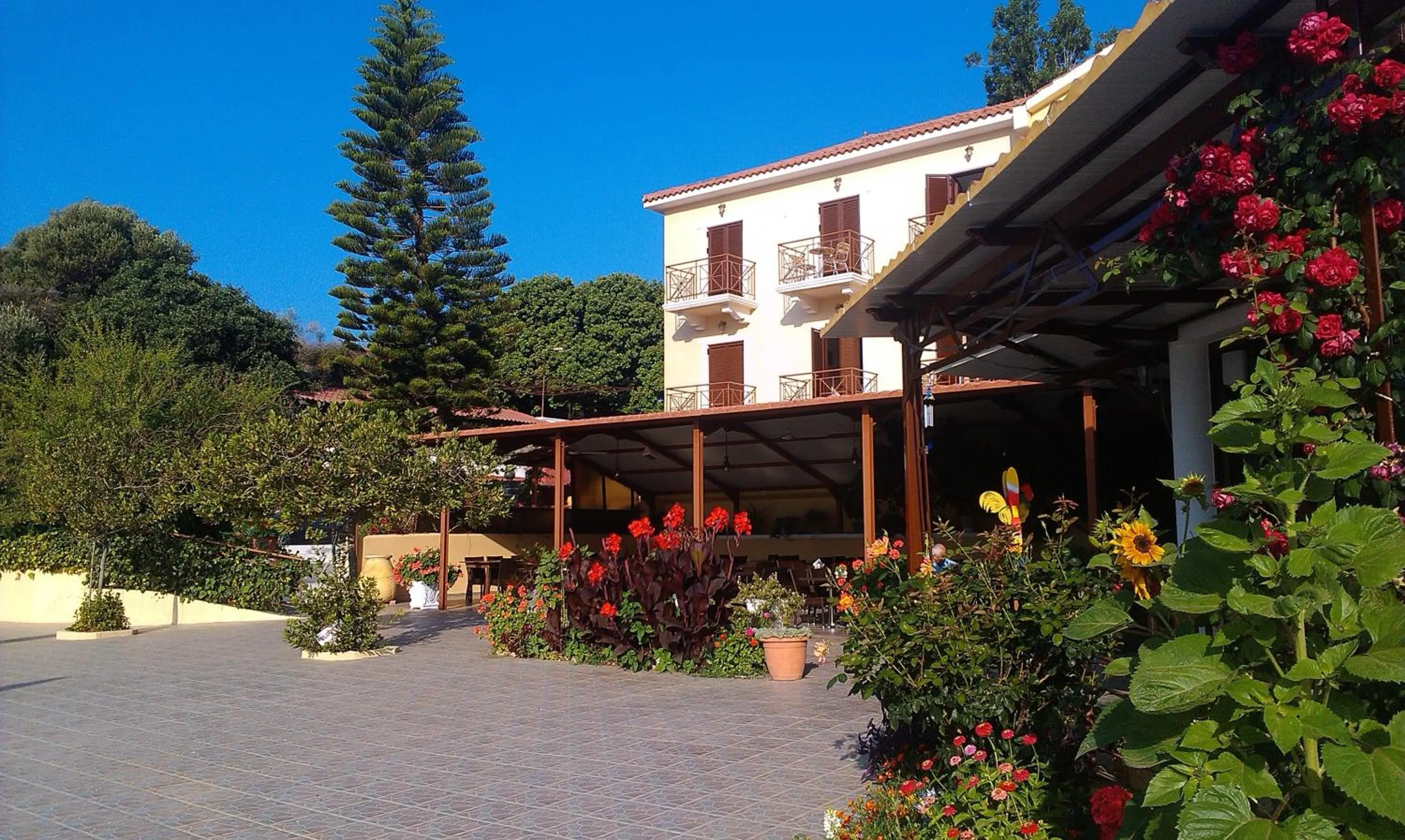 Restaurant/places to eat in Karavados Beach Hotel