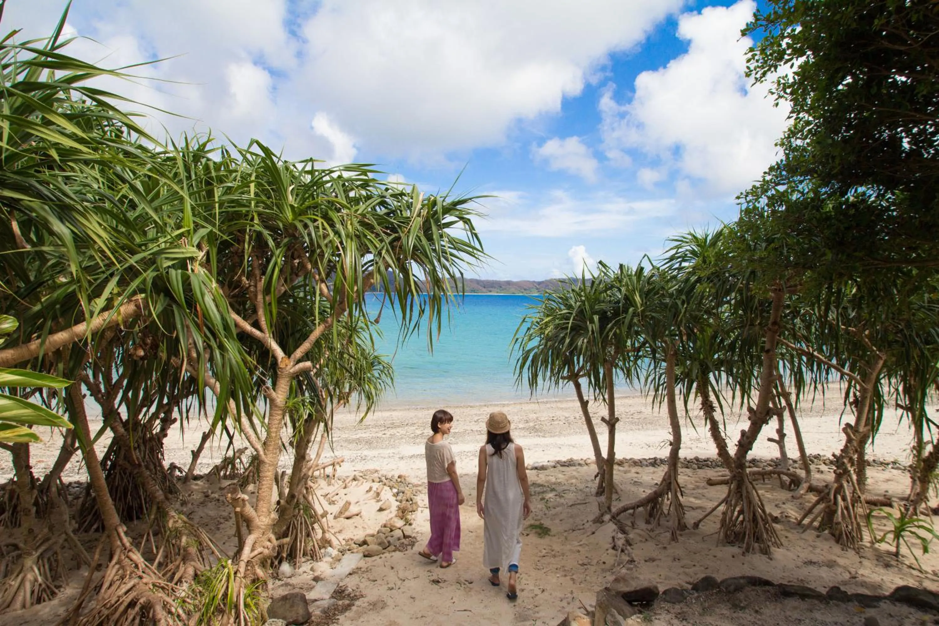 Neighbourhood in Native Sea Amami Adan On The Beach