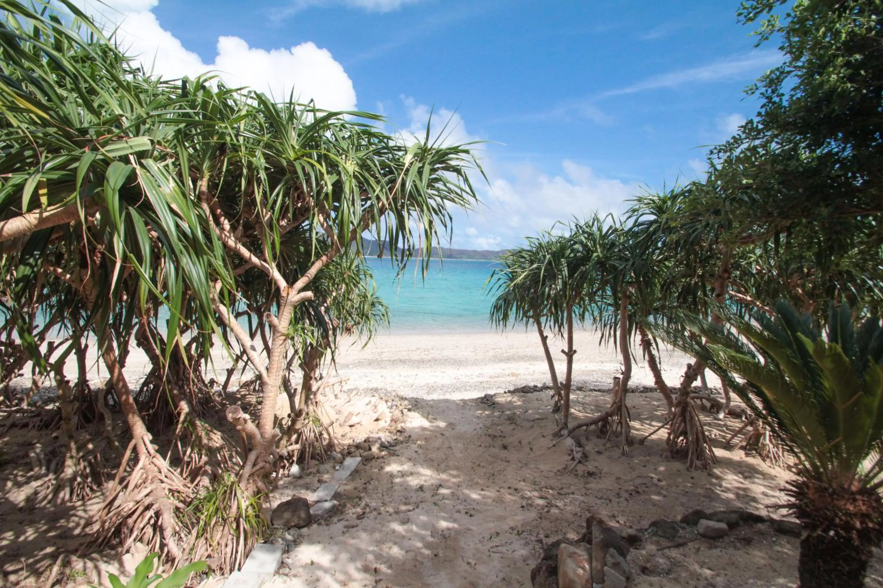 Off site in Native Sea Amami Adan On The Beach