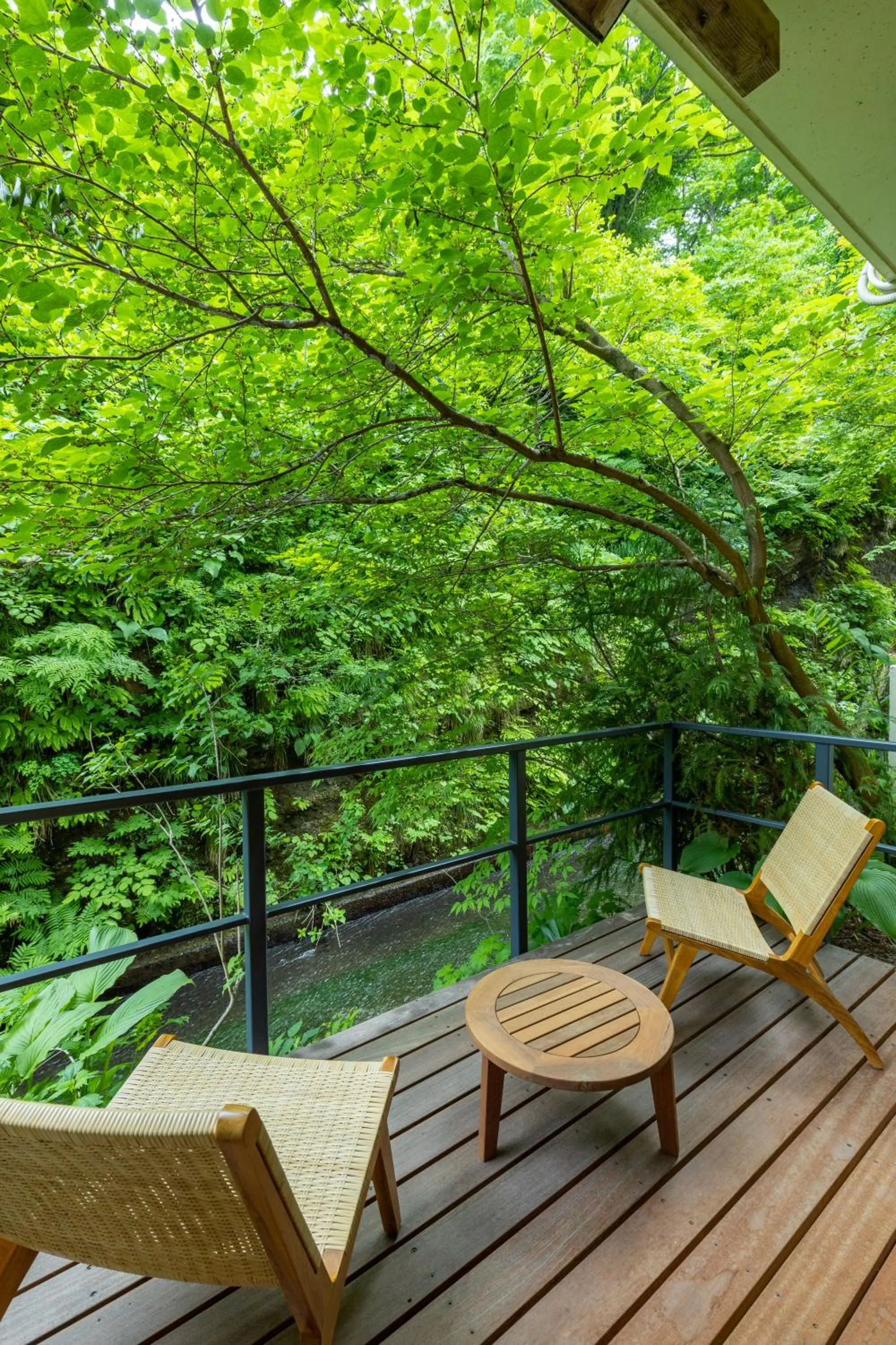 Natural landscape in Sake Hotel Tamakiya