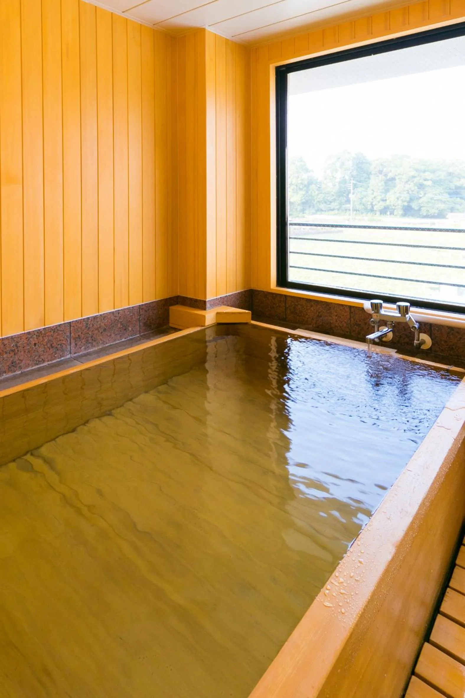 Day in Ureshino Motoyu