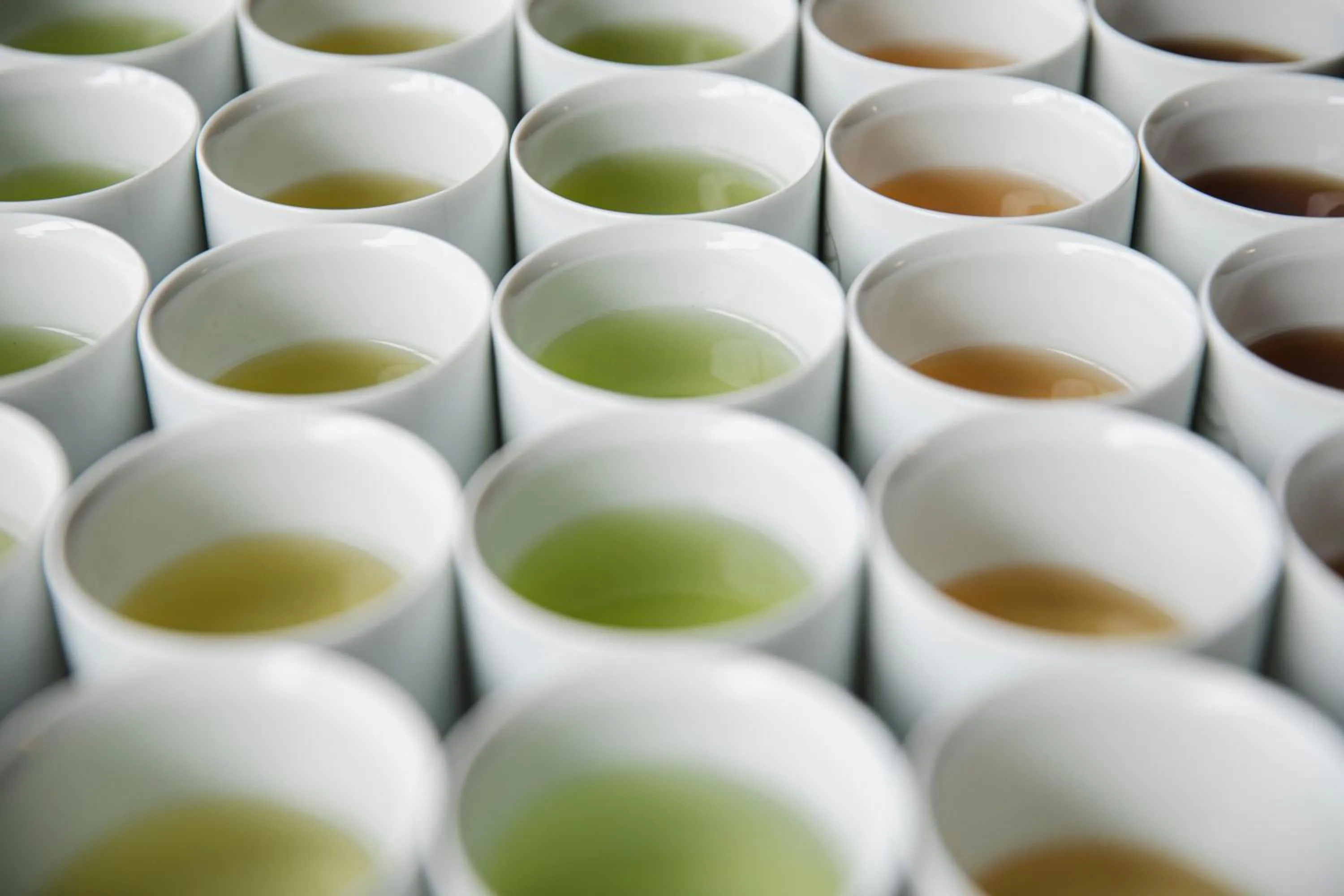 Food and drinks in Ureshino Motoyu