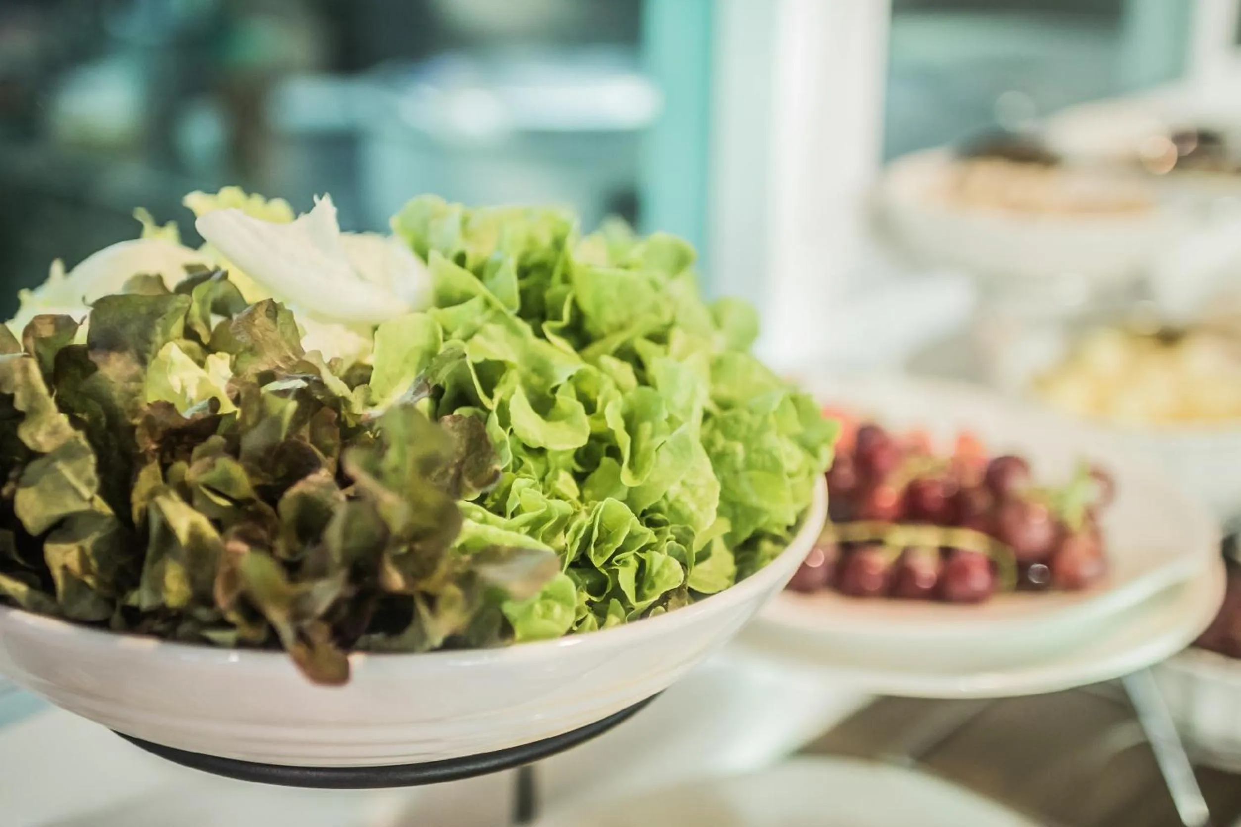 Gallery Design - SHA Extra Plus