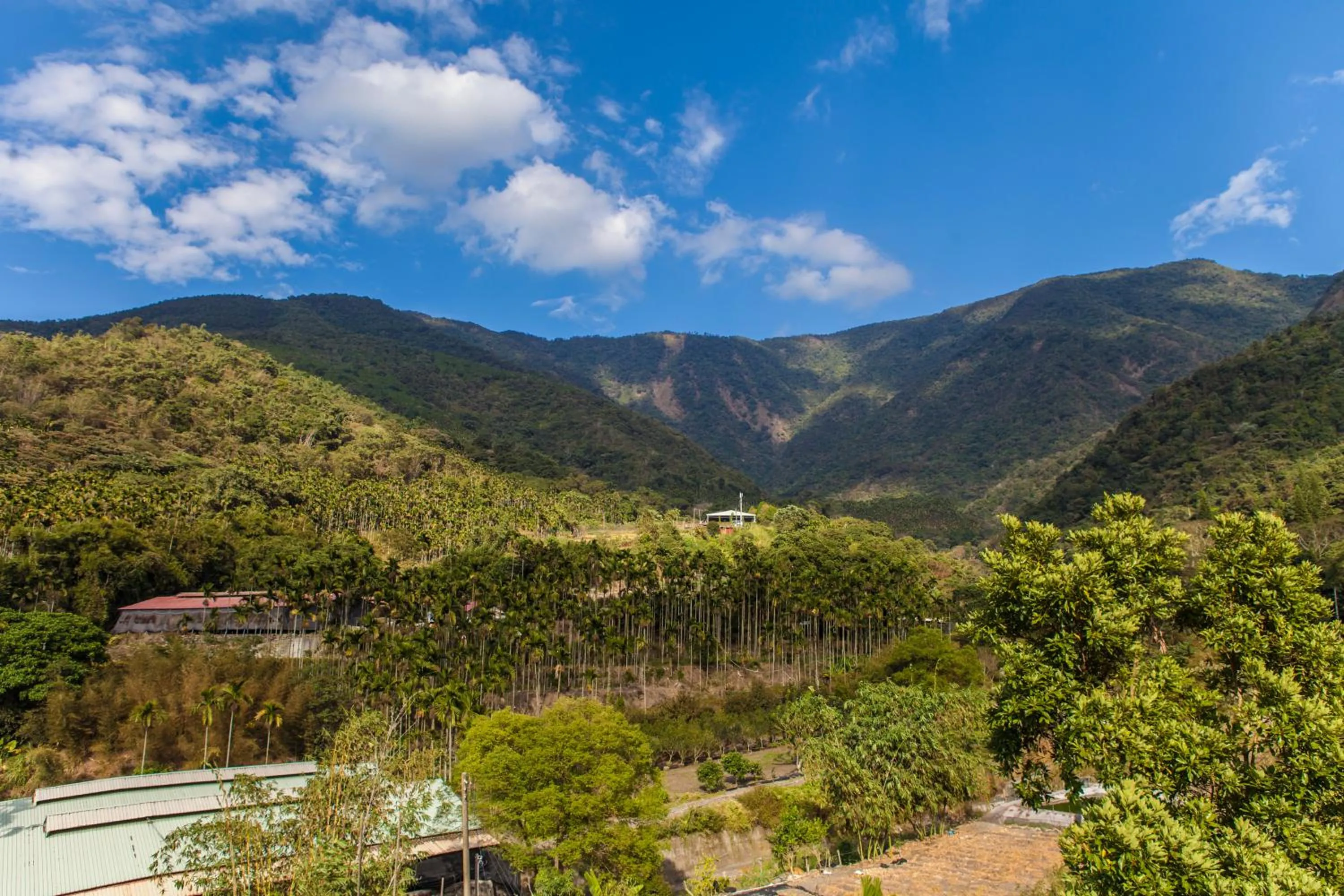 Natural landscape in Fully B&B