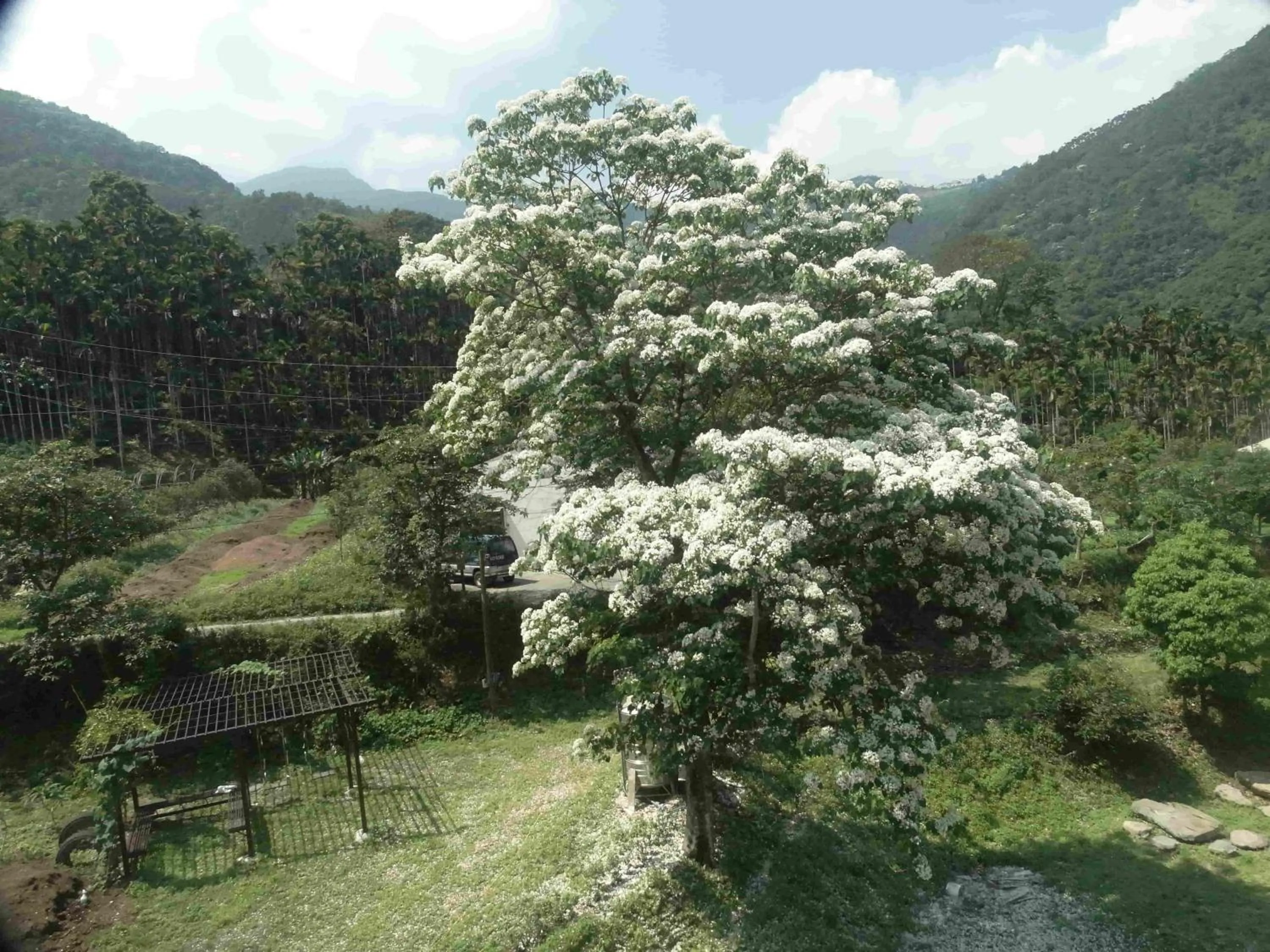 Spring in Fully B&B