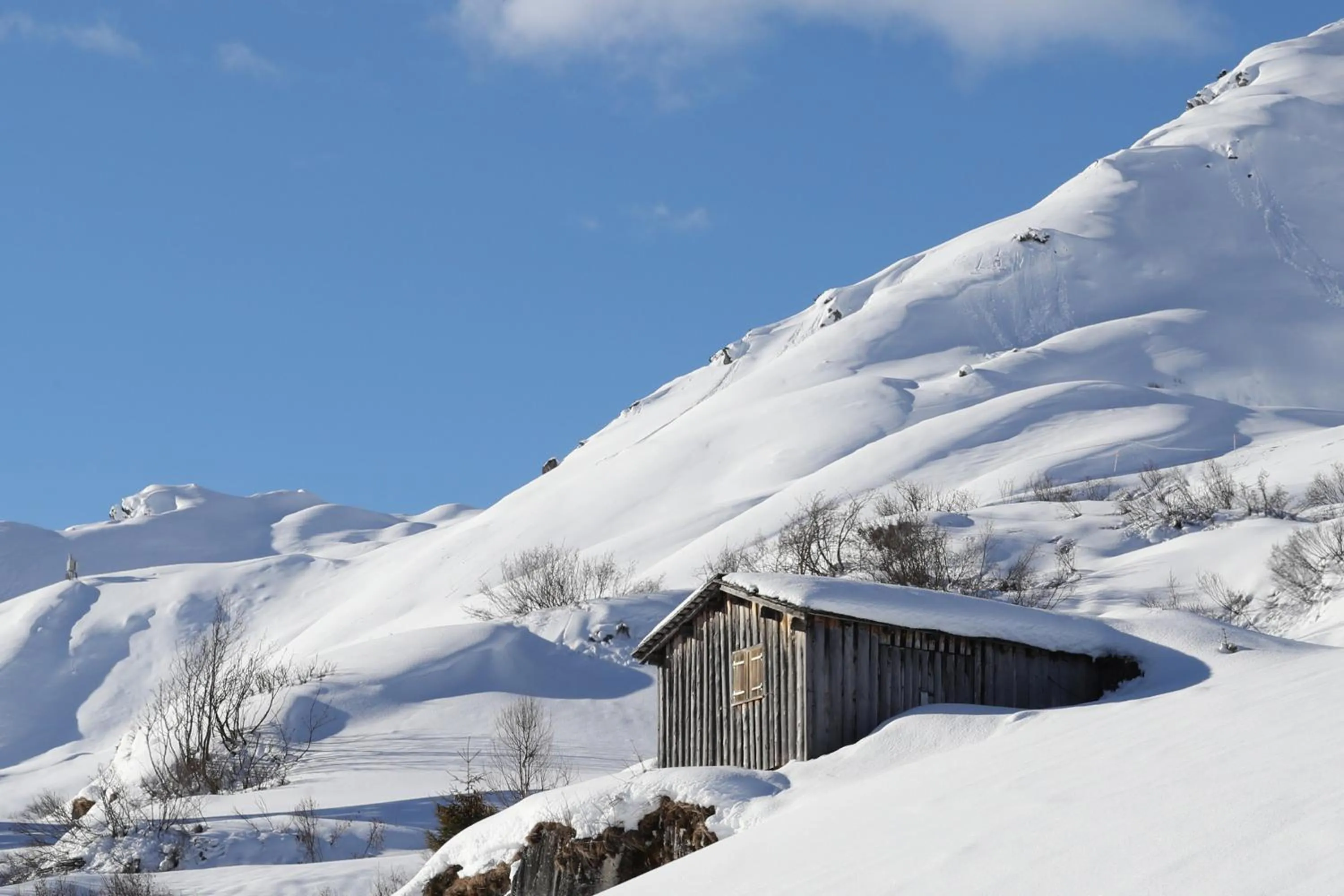 Natural landscape in SEVERIN*S – The Alpine Retreat