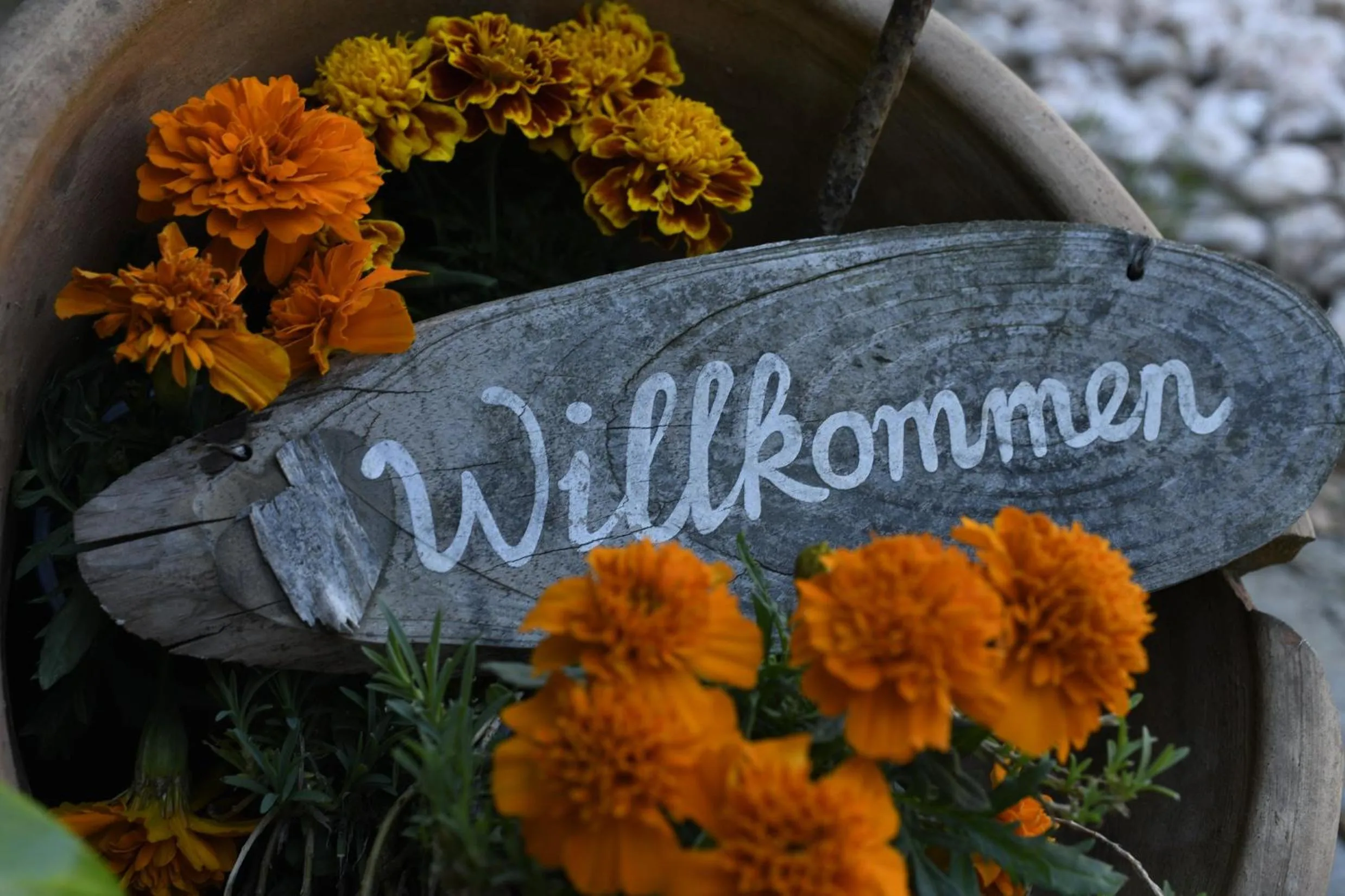 B&B La Rosa del Lago