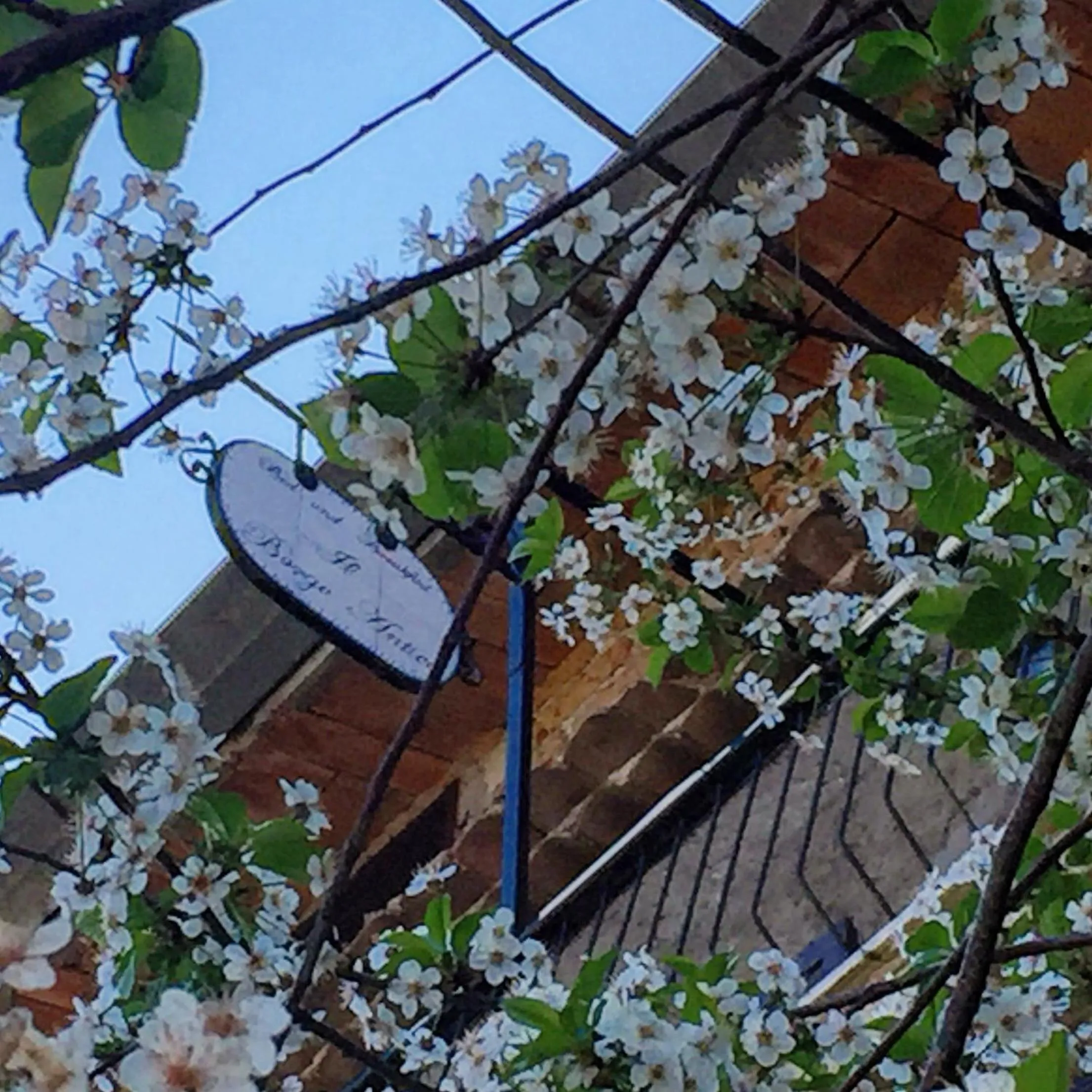 Property building in Il Borgo Antico