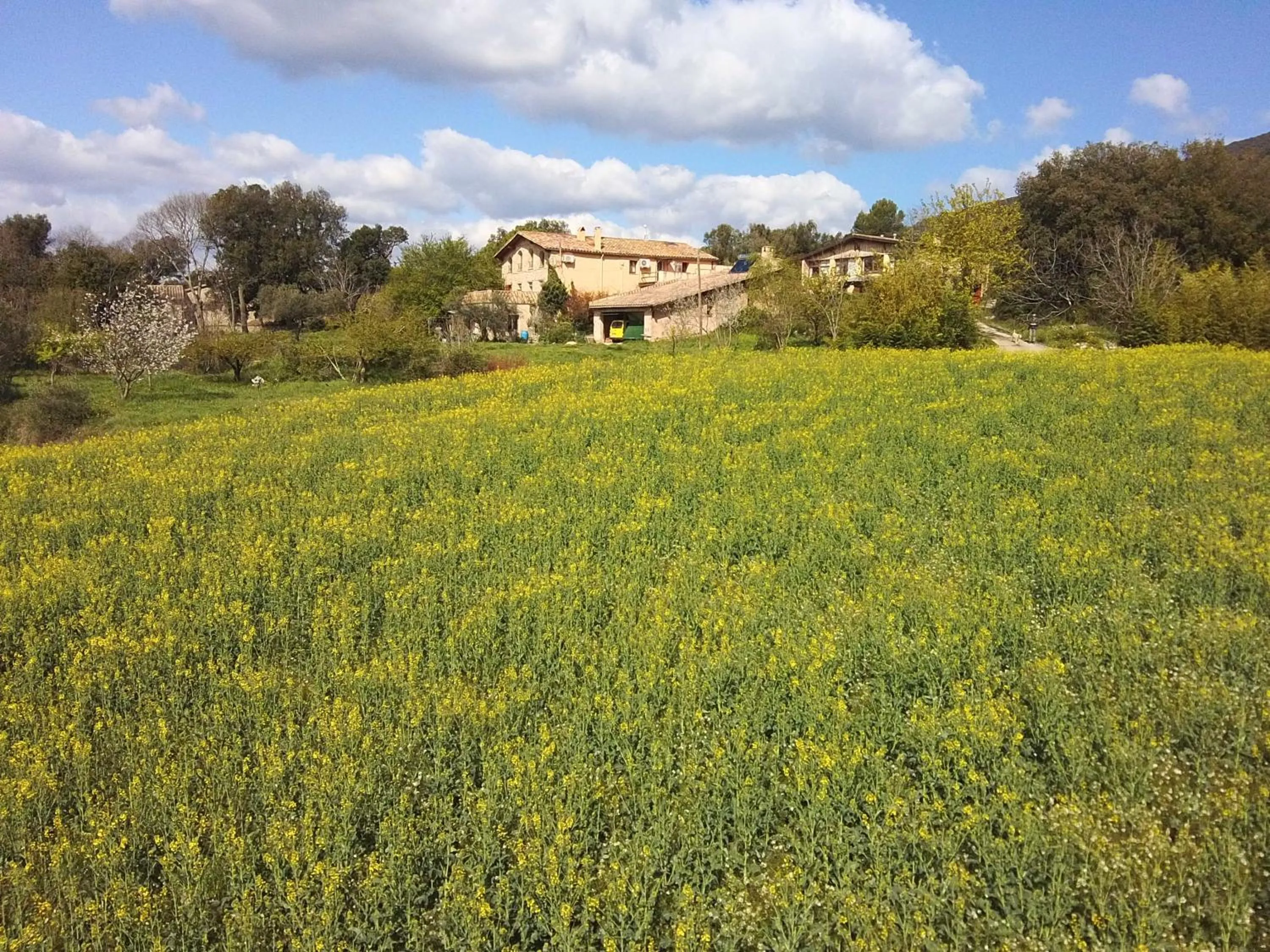 La casa de l'Avi
