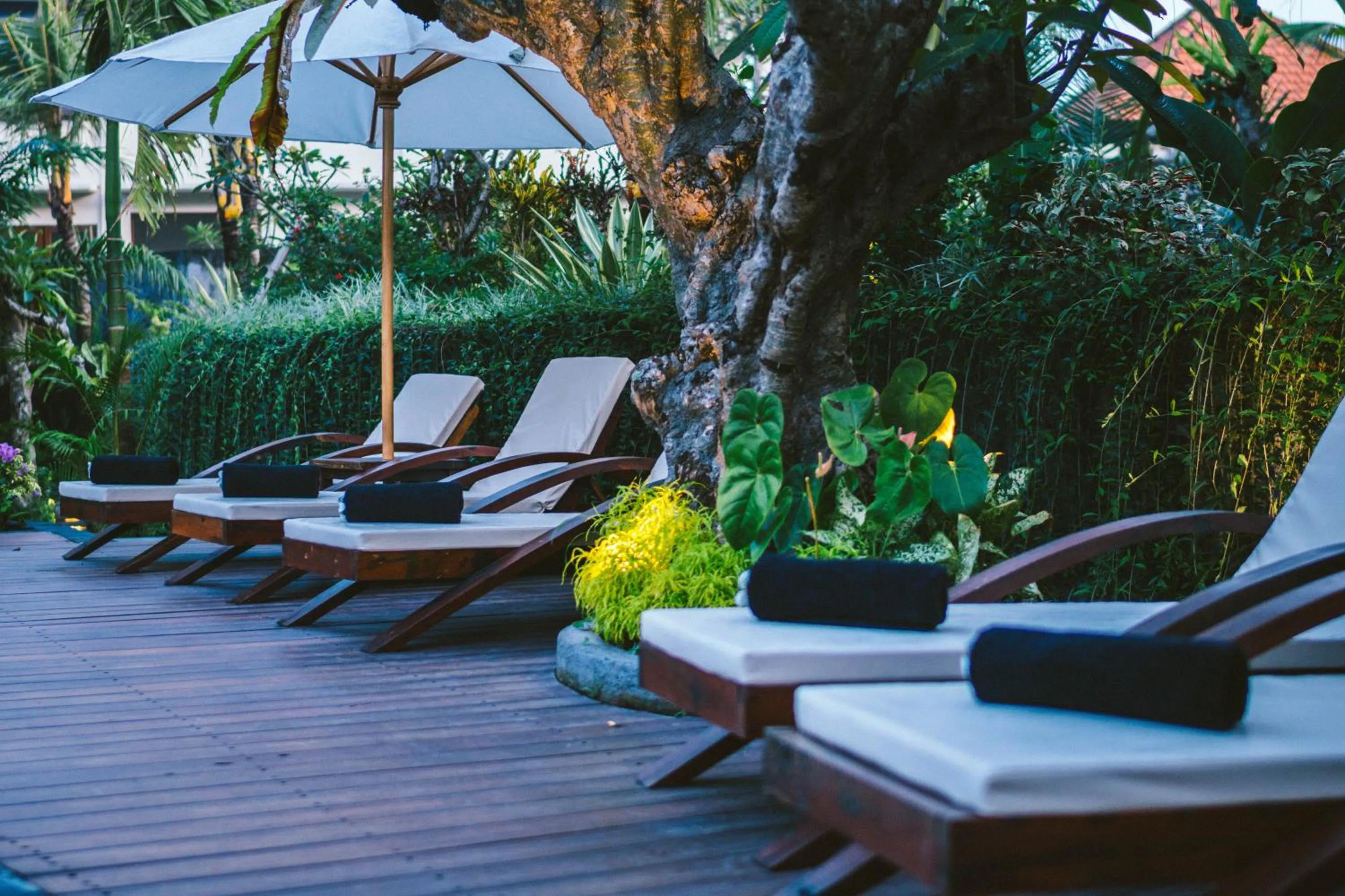 Pool view in Honai Resort