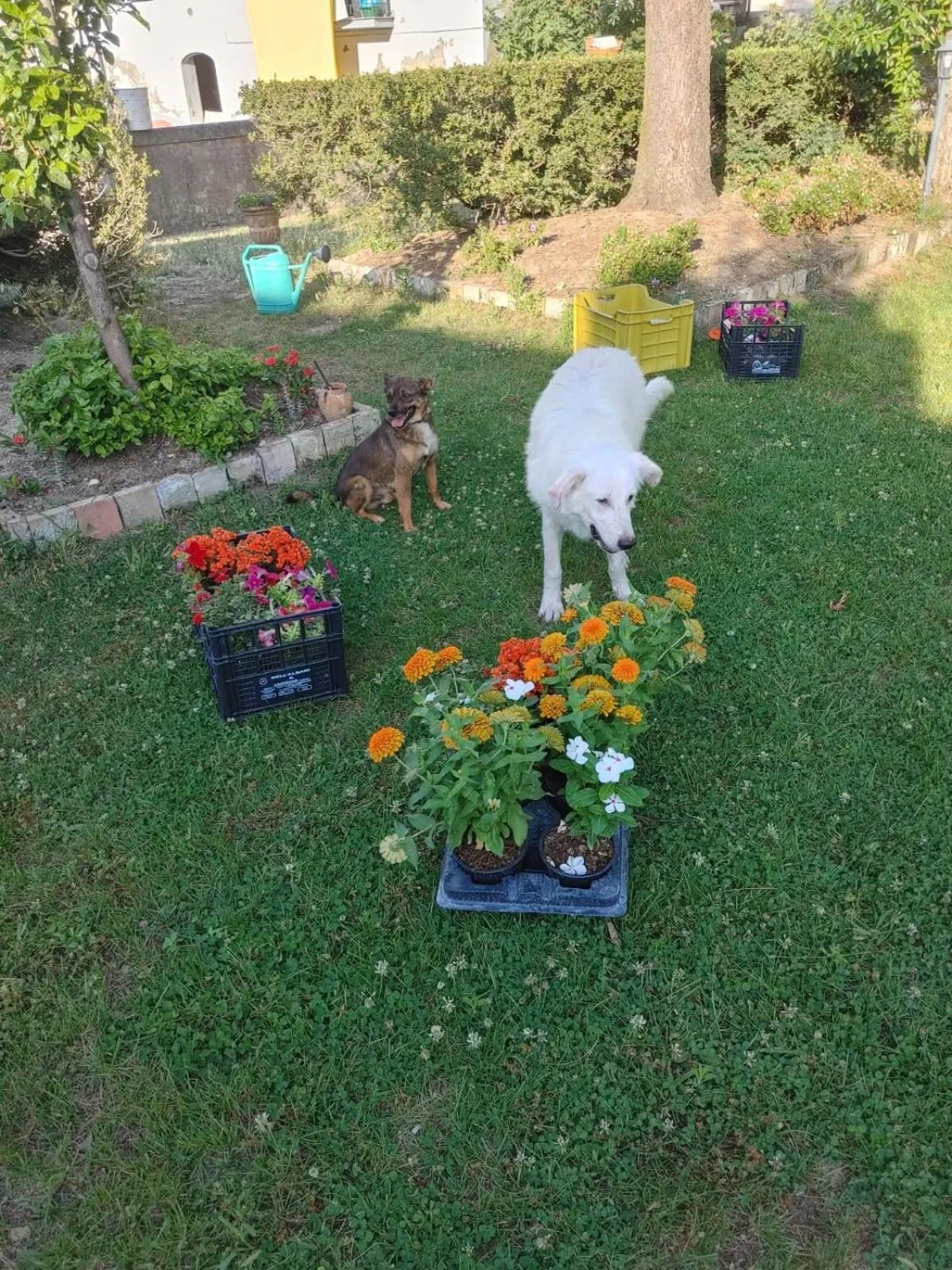 Garden in Borgo Sciugolo