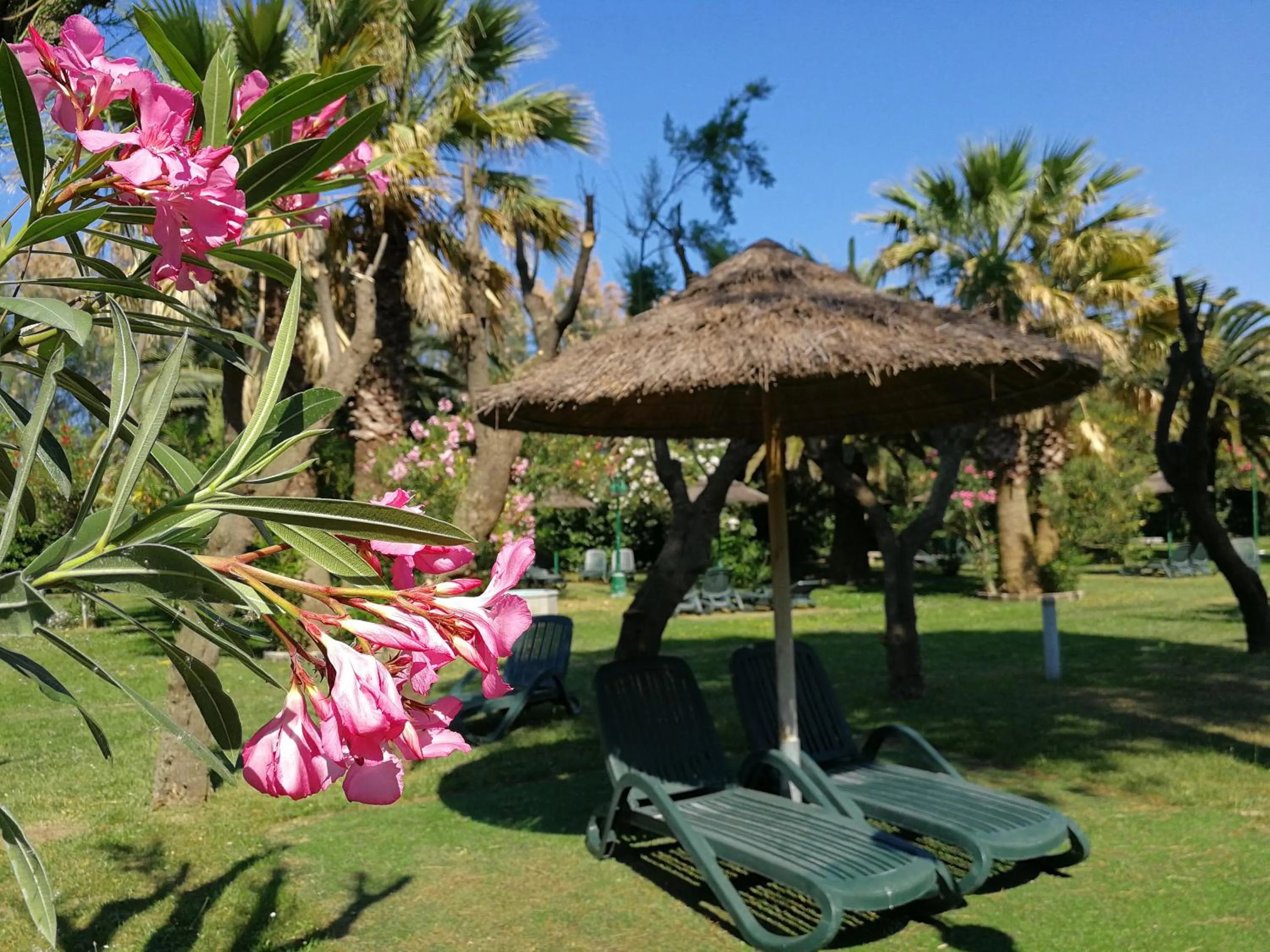 Garden in Victoria Mobilehome Tortoreto Lido