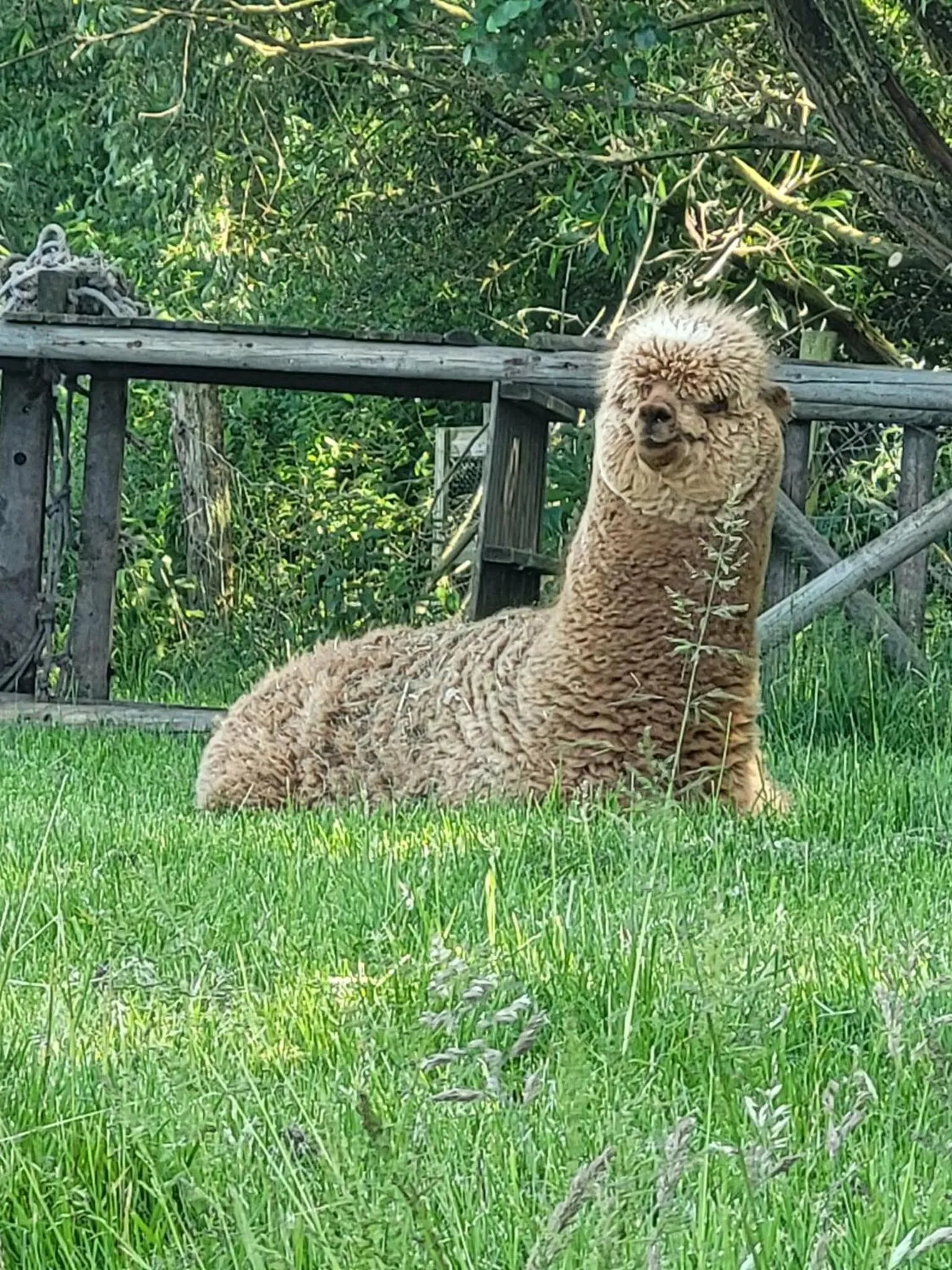 Garden in La Couture du Charme