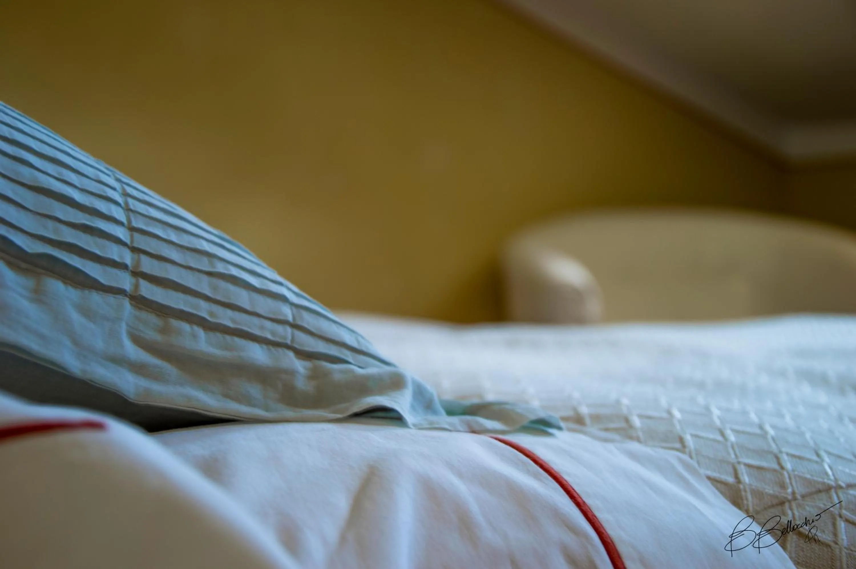 Decorative detail in La Torretta Bobbio