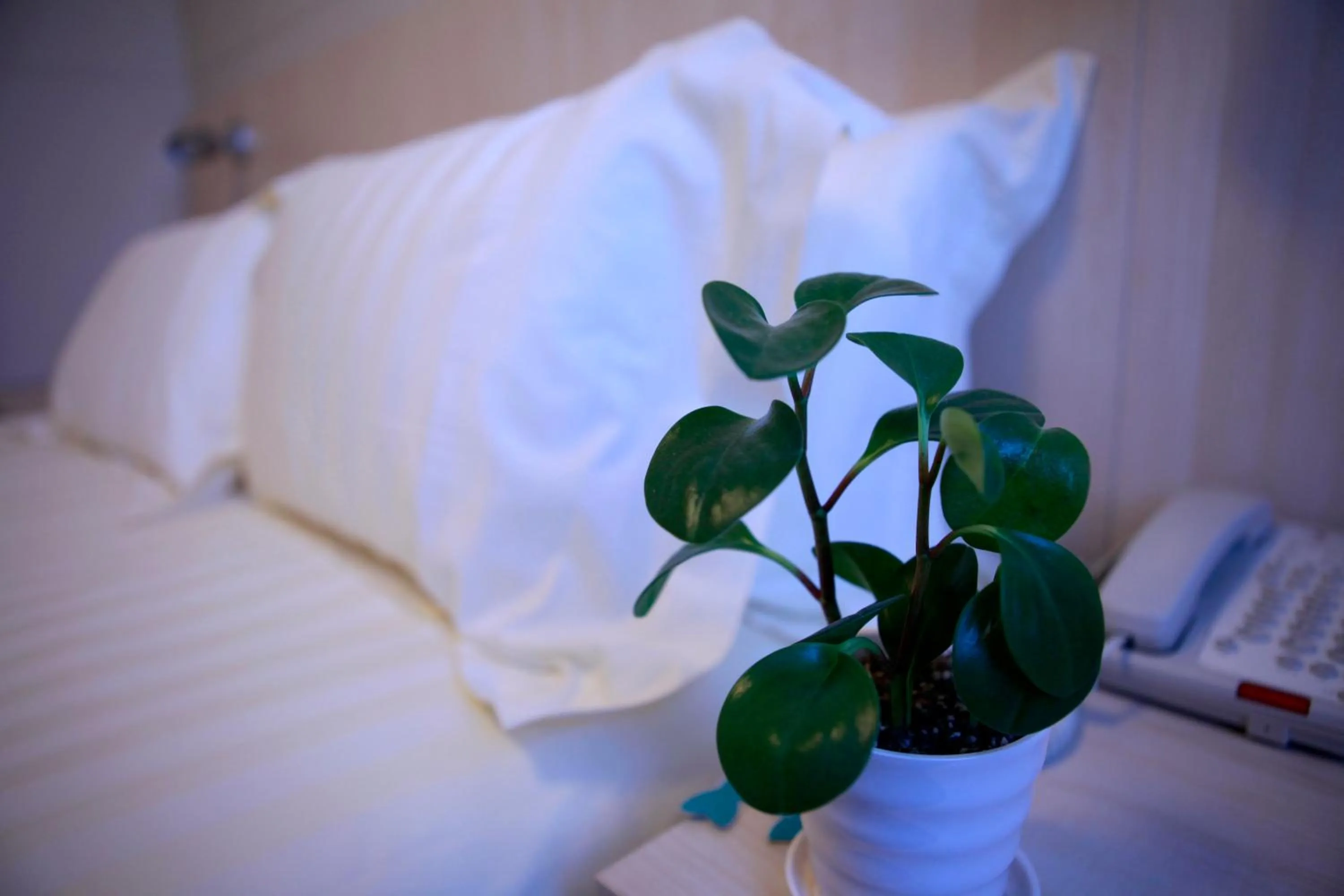 Decorative detail in Jinjiang Inn Beijing Gucheng North Road