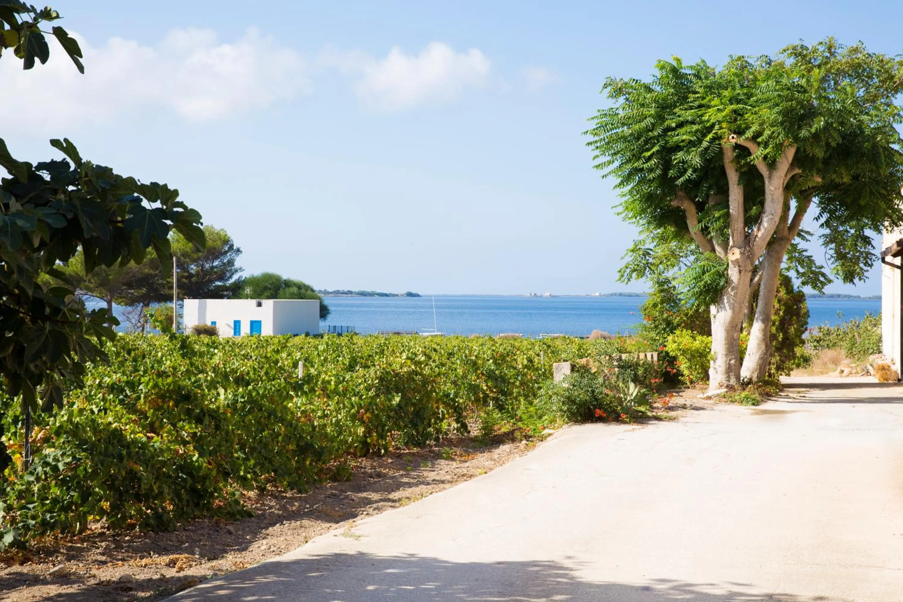 Facade/entrance in B&B Isole Dello Stagnone