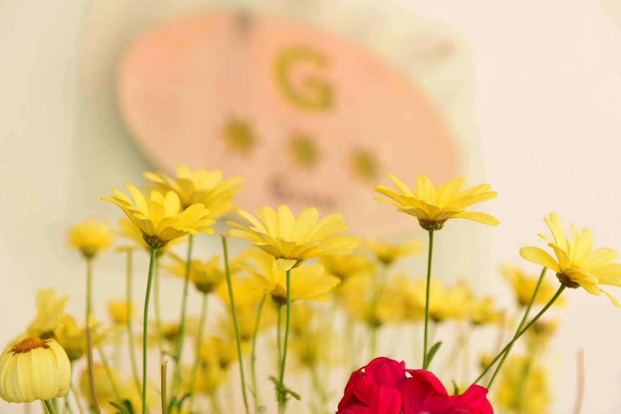 Facade/entrance in Alpin Garni die kleine Post