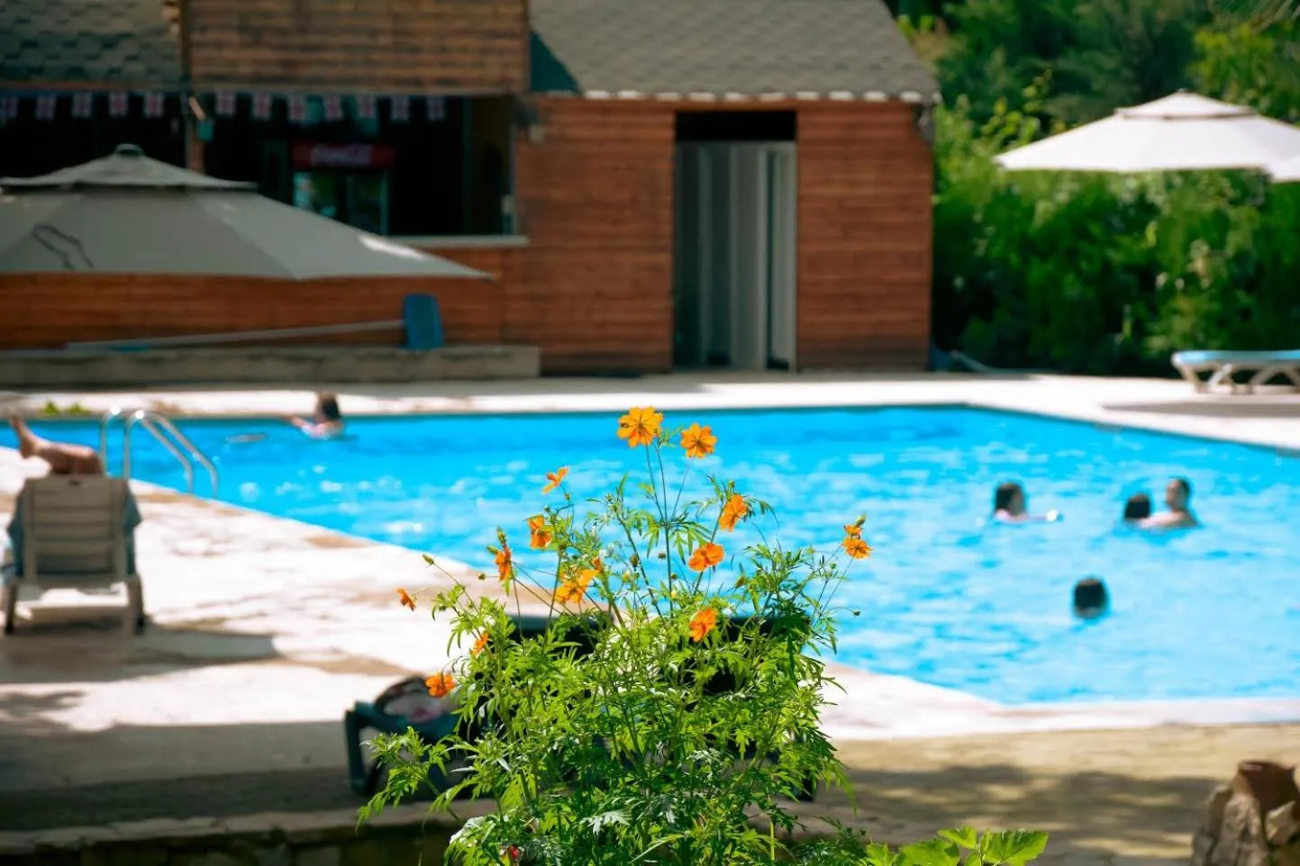 Wald Hotel Lagodekhi