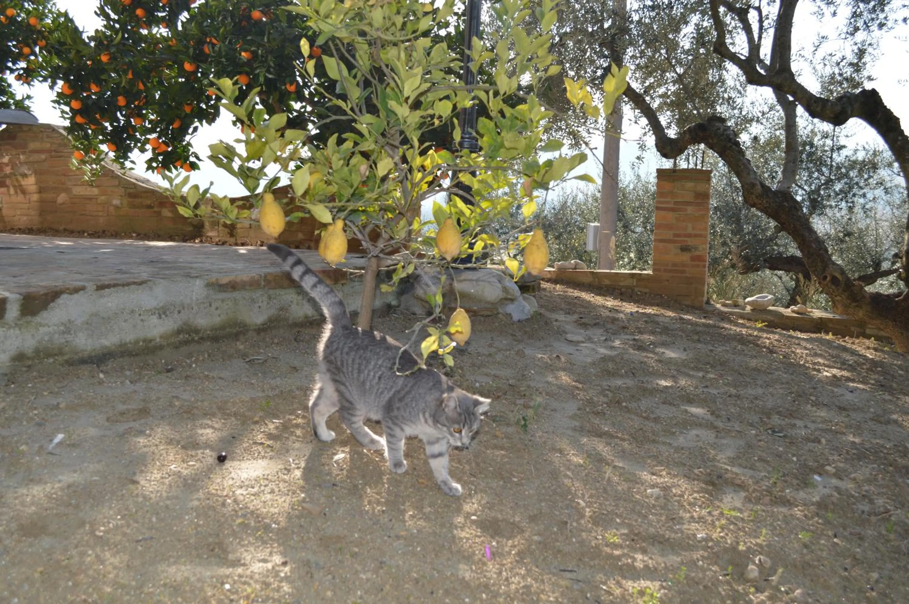 Autumn in Casale del Sole