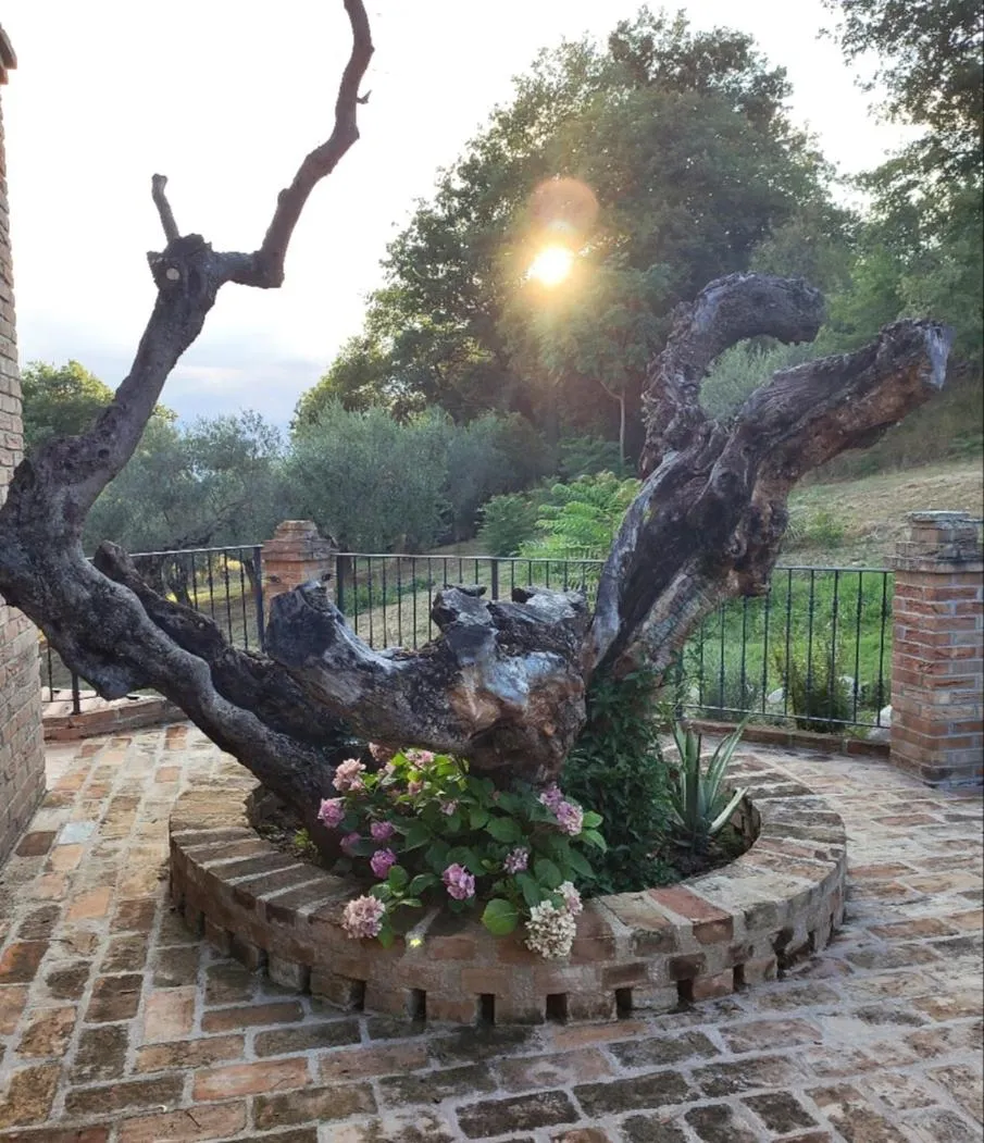 Sunset in Casale del Sole