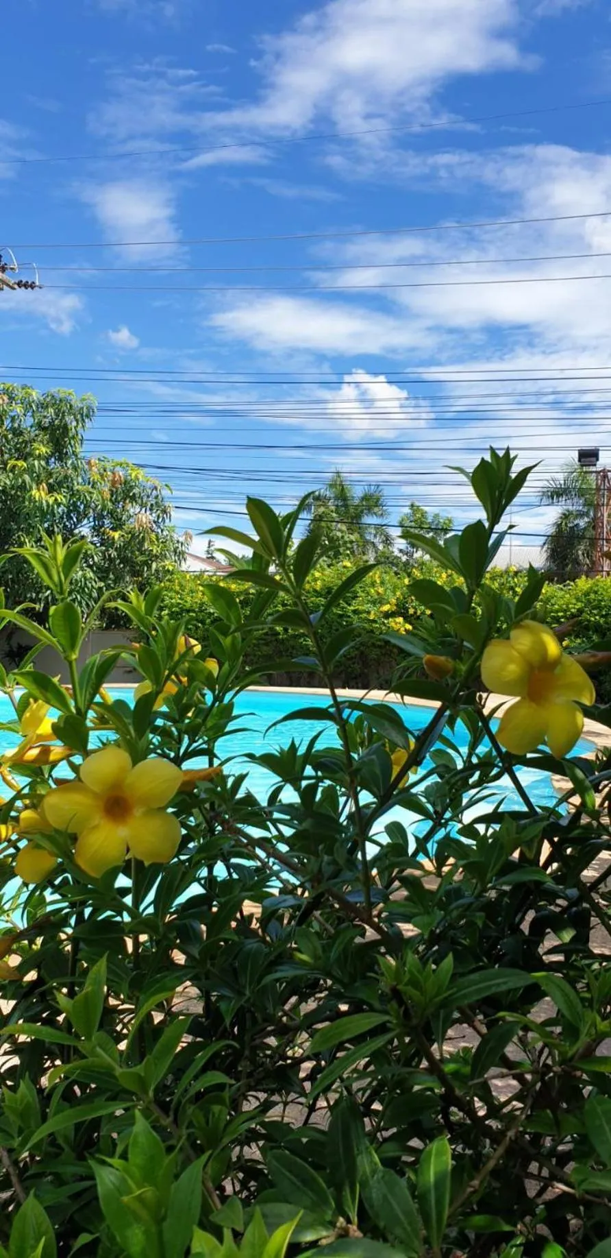 Garden in Nuch's Apple Guest House